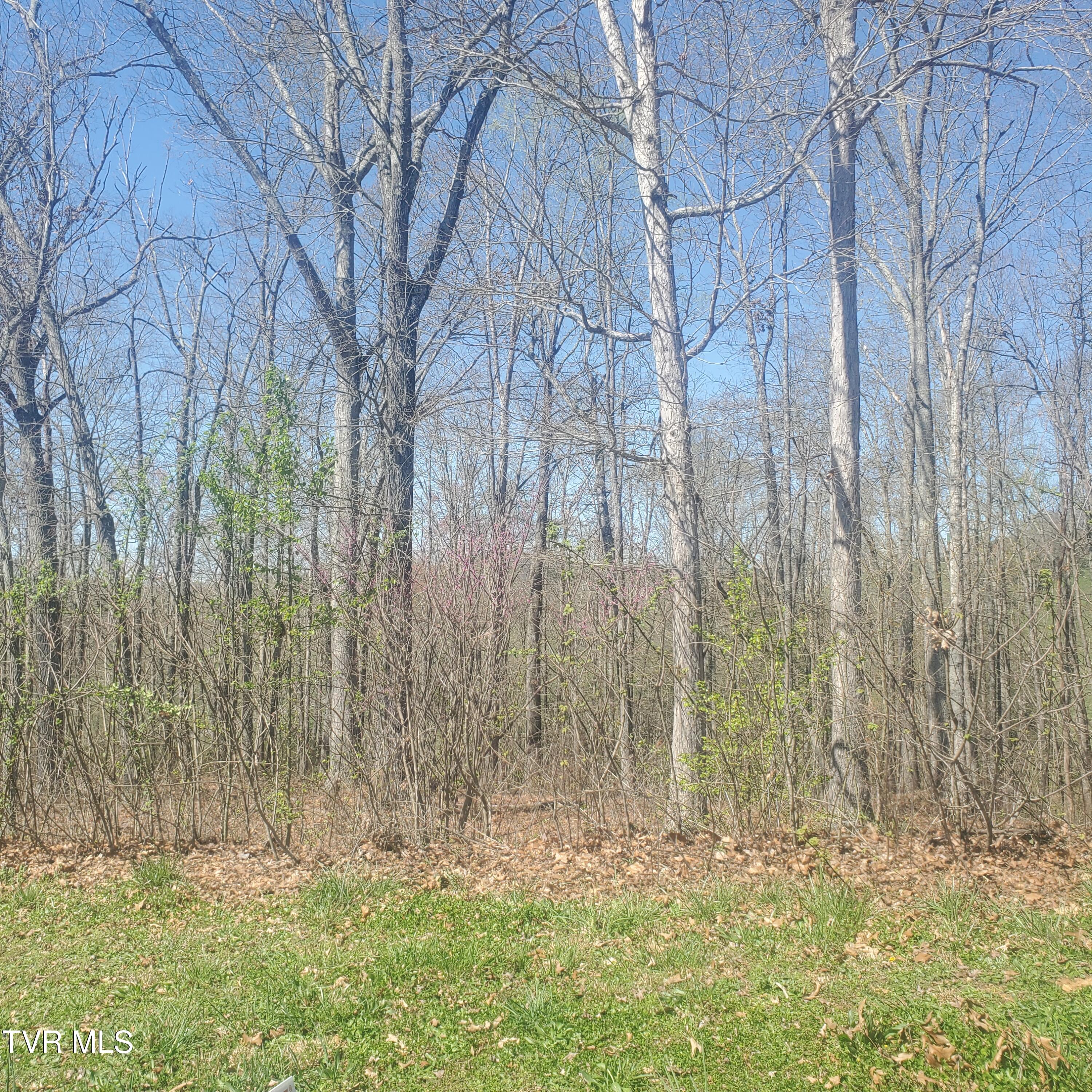 Lot 136 Tumbleweed Trail