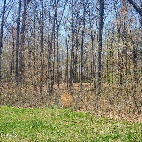 Vacant Land For Sale - LOT 136 Tumbleweed Trail<br/> Grainger County, Rutledge, TN 37861