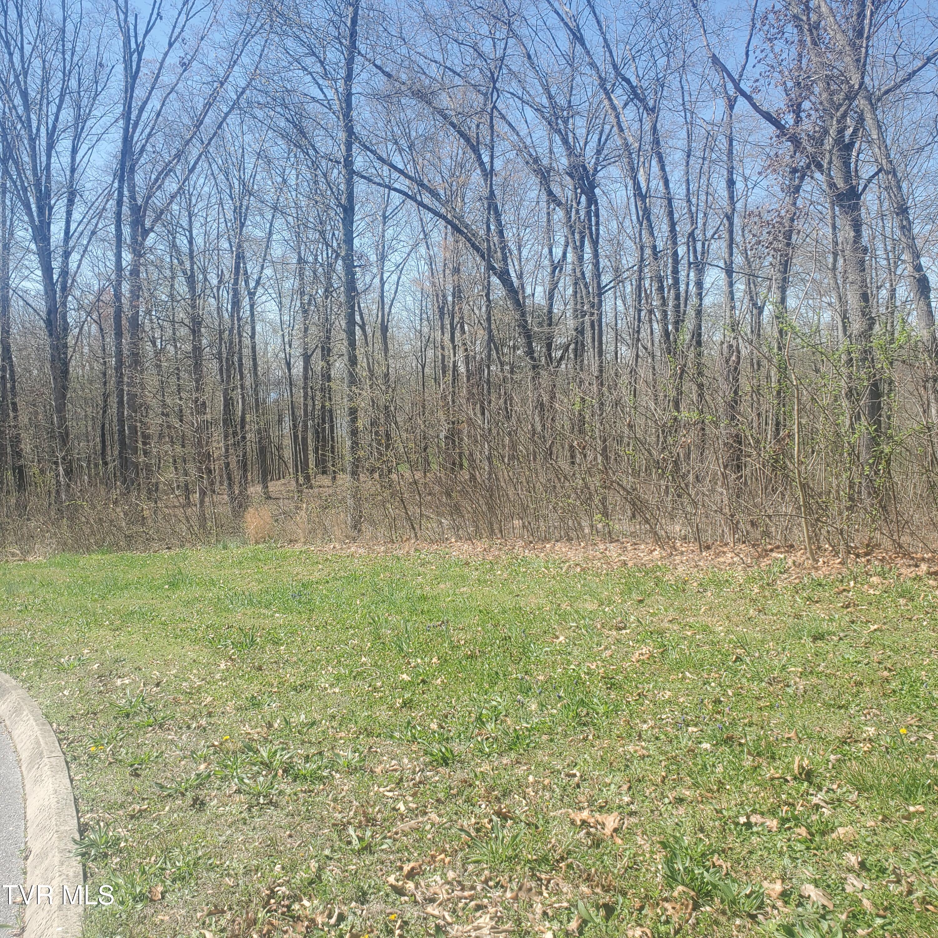 Lot 136 Tumbleweed Trail