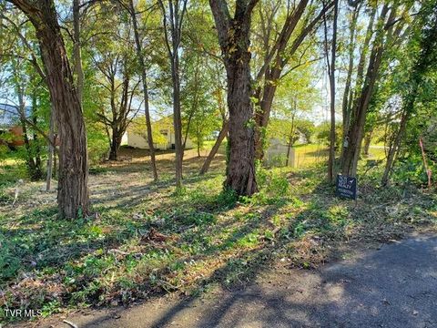 Vacant Land For Sale - Iris East Street<br/> Mosheim, TN 37818
