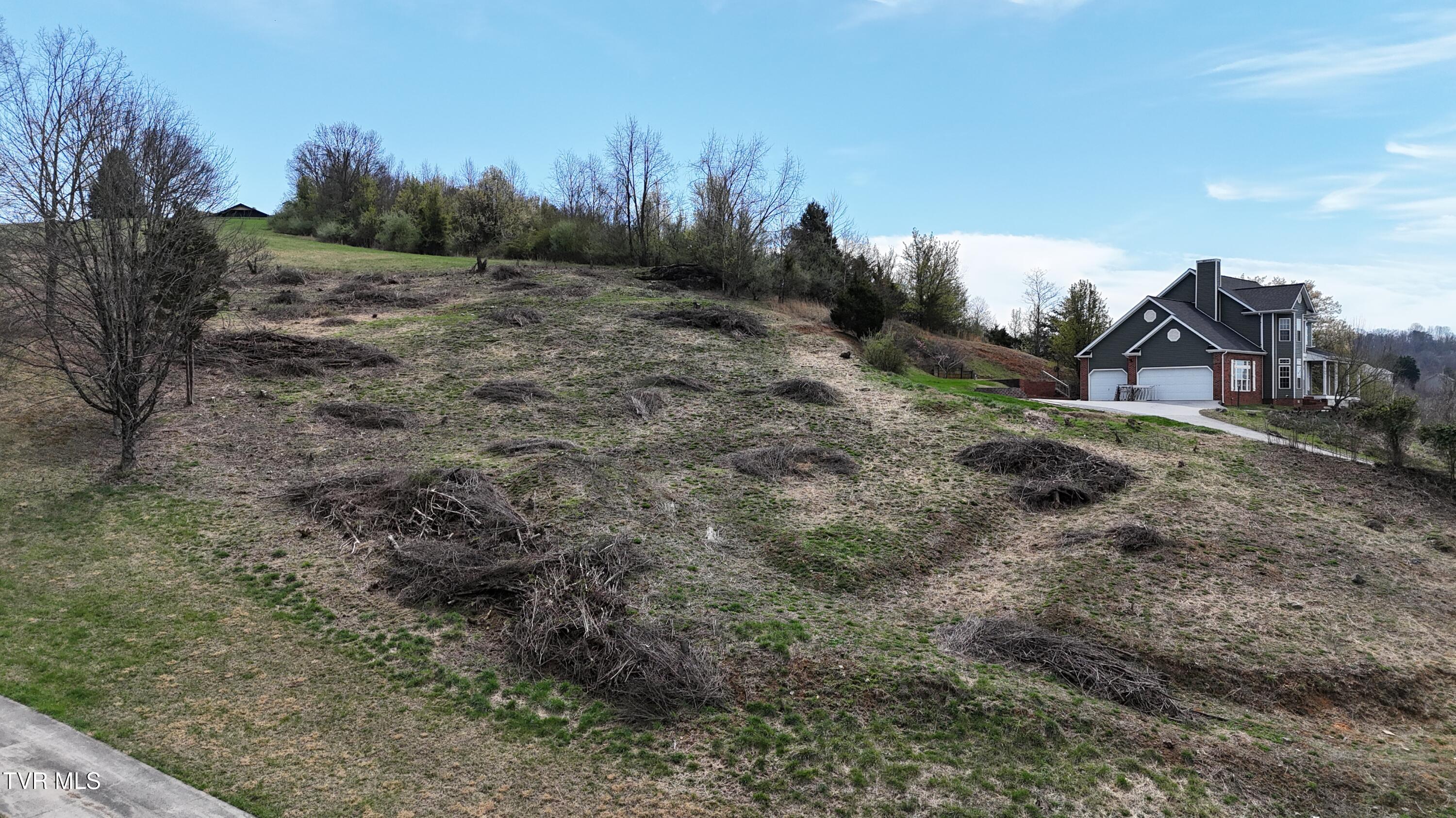 209 Briarfield Drive