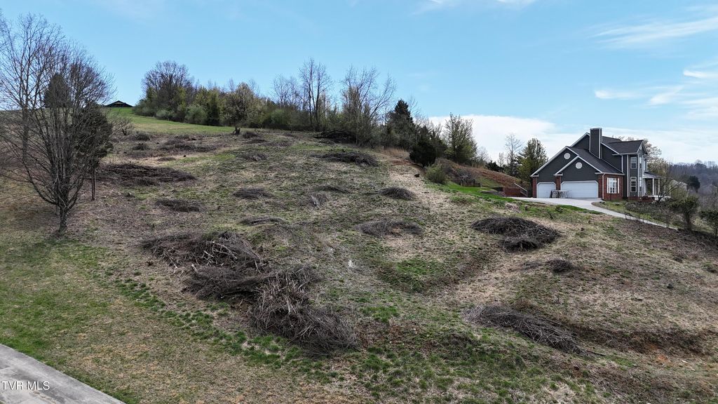 Photo of 209 Briarfield Drive, Kingsport, TN 37660 (MLS # 9992603)