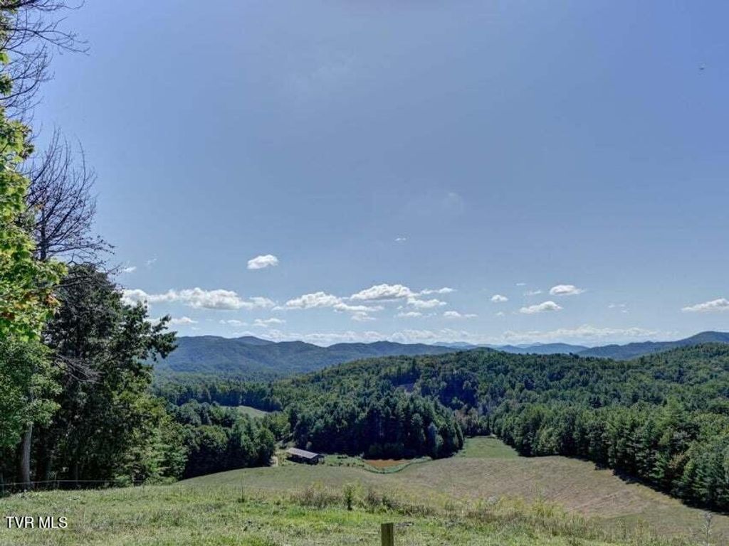 Photo of 5200 Greene Mountain Road, Greeneville, TN 37743 (MLS # 9994875)