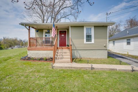 Photo of 1105 Miller Street, Johnson City, TN 37604 (MLS # 9992930)