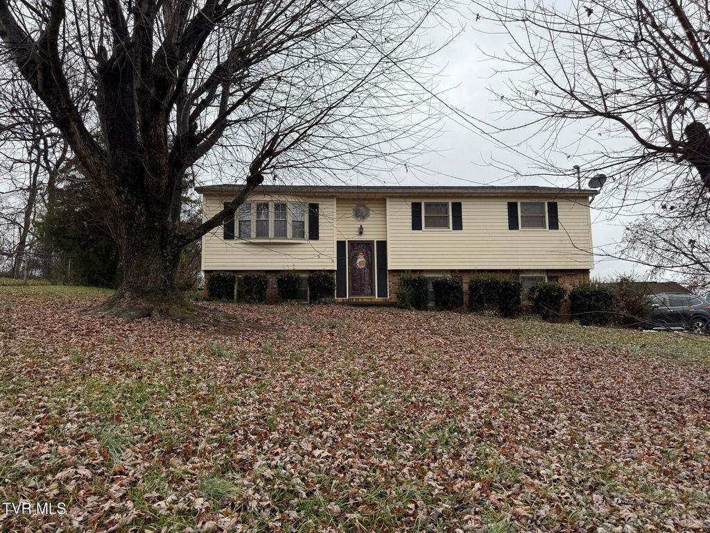 Photo of 529 Old Gray Station Road, Johnson City, TN 37615 (MLS # 9988917)