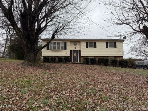 Photo of 529 Old Gray Station Road, Johnson City, TN 37615 (MLS # 9988917)