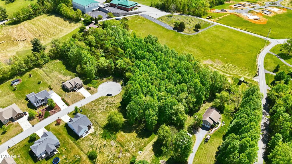 Photo of 2445 Poplar Ridge Court, Piney Flats, TN 37686 (MLS # 9994339)