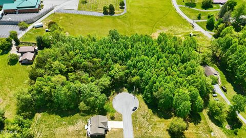 Vacant Land For Sale - 2445 Poplar Ridge Court<br/> Piney Flats, TN 37686
