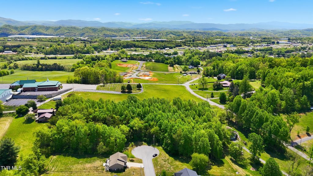 Photo of 2445 Poplar Ridge Court, Piney Flats, TN 37686 (MLS # 9994339)