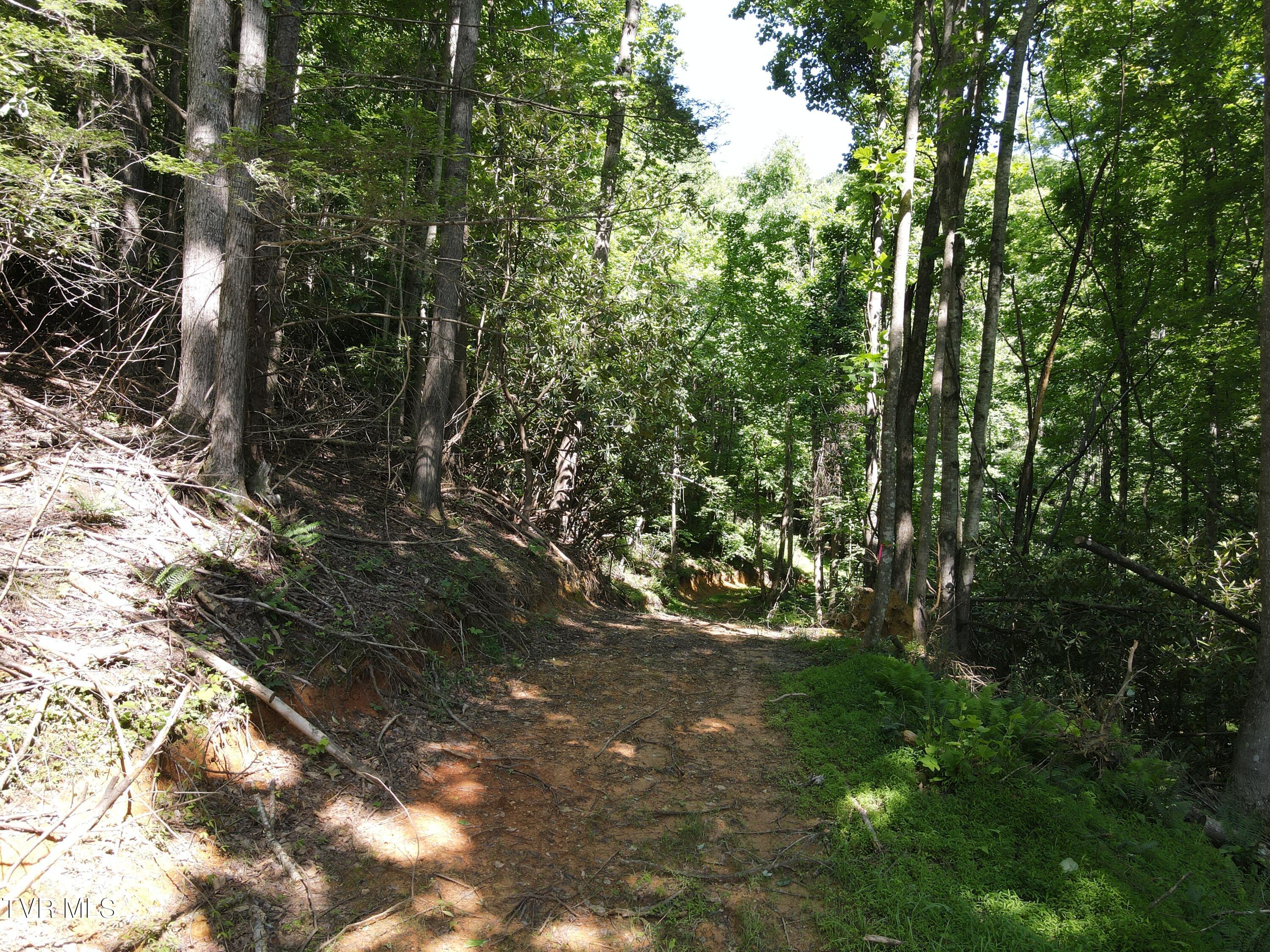 Tbd Whispering Pines Rd, Johnson City, Tennessee image 6