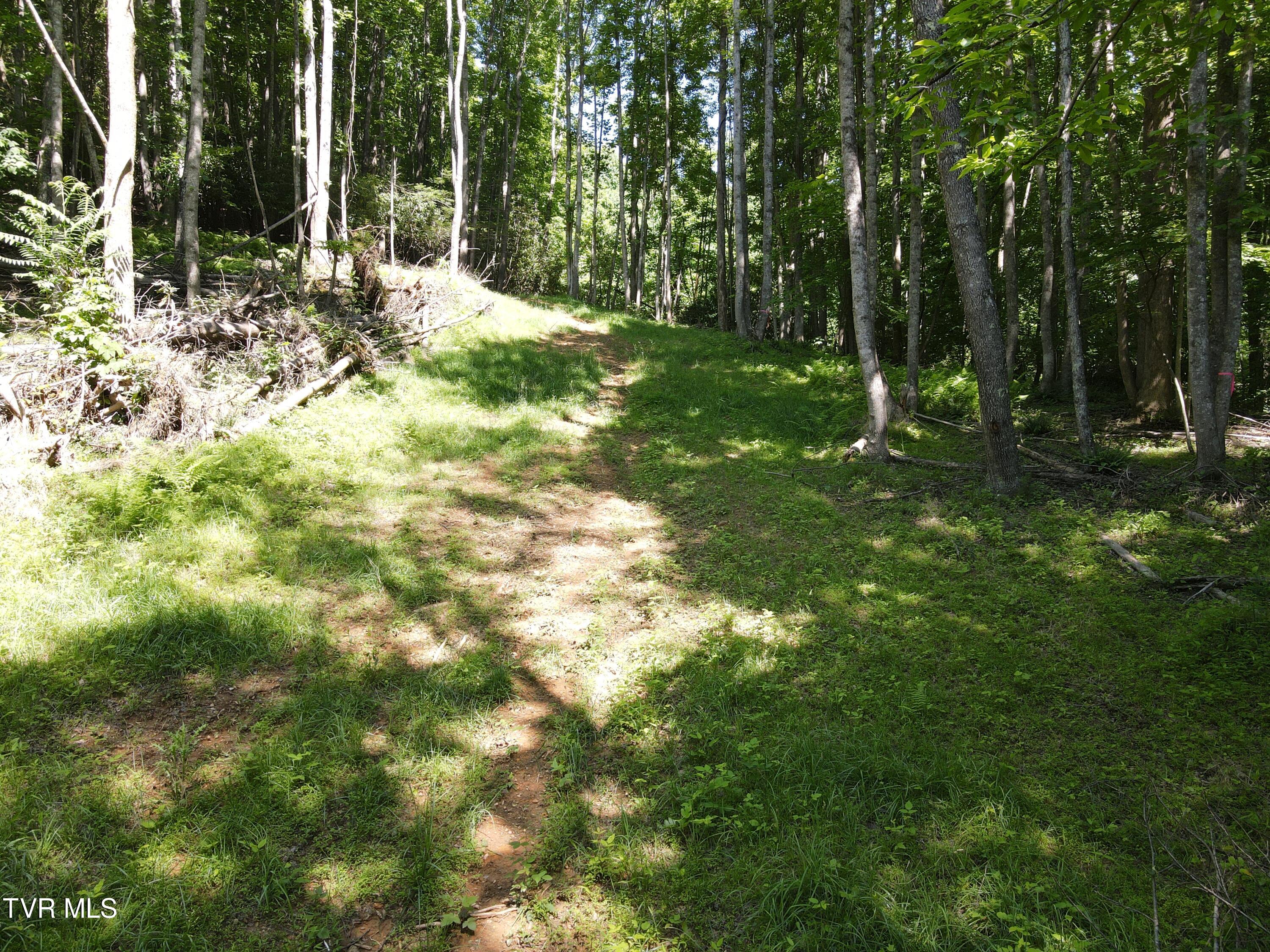 Tbd Whispering Pines Rd, Johnson City, Tennessee image 7