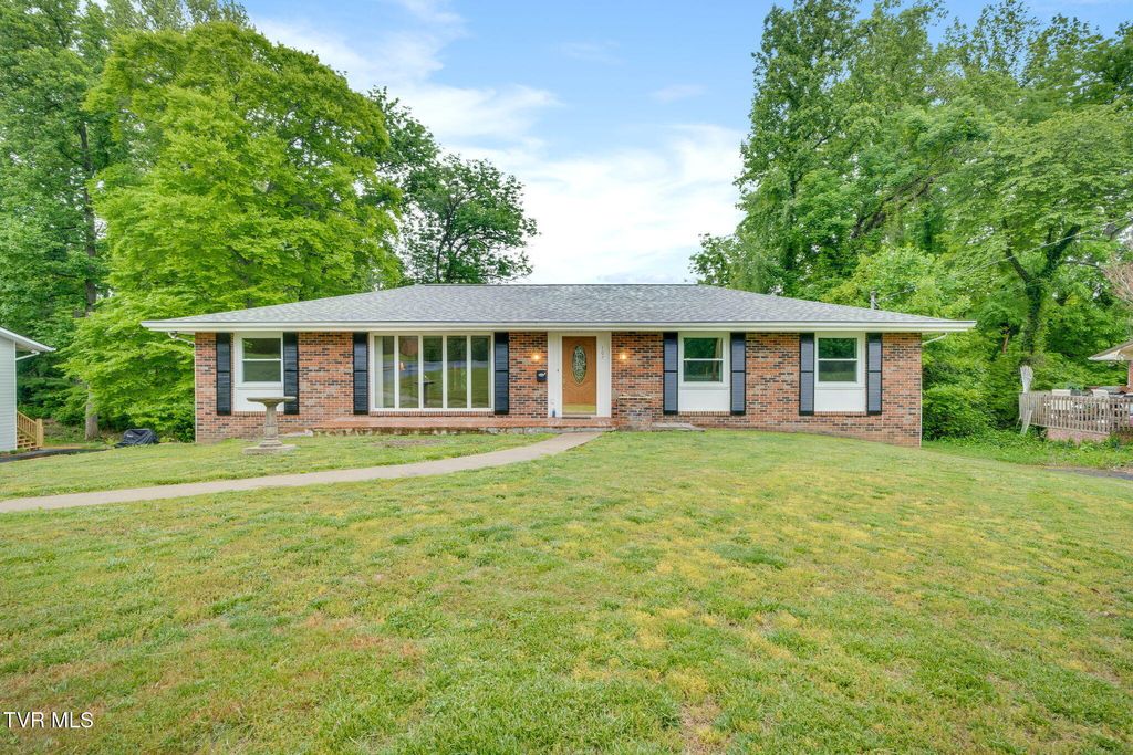 Photo of 107 Dogwood Lane, Johnson City, TN 37604 (MLS # 9995078)