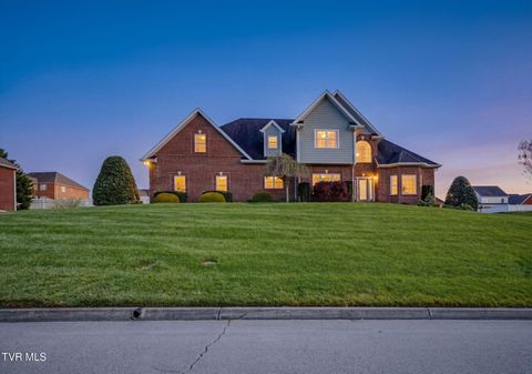 Photo of 408 Arrowhead Drive, Kingsport, TN 37664 (MLS # 9993719)