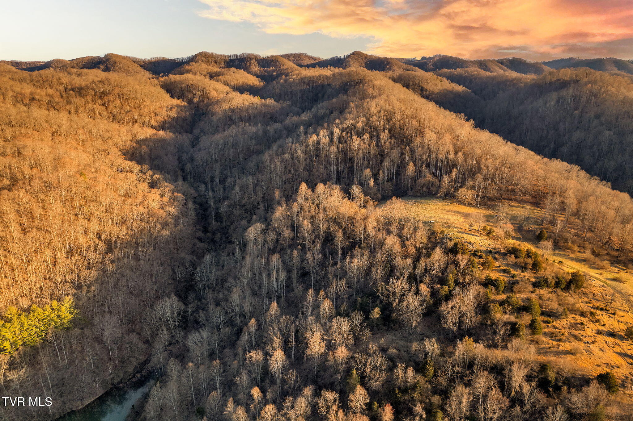 20486 Canebrake Road, Abingdon, Virginia image 4