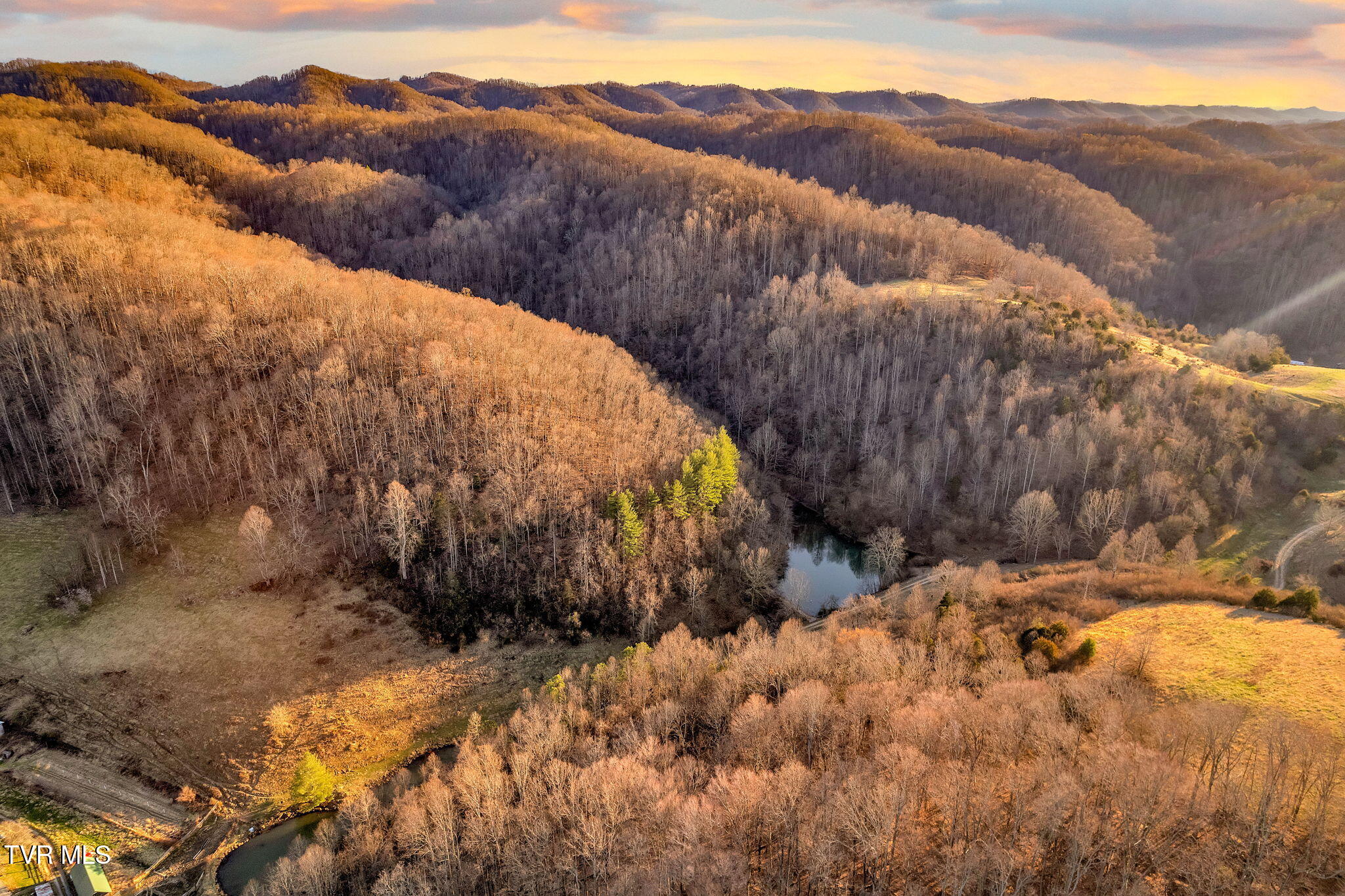 20486 Canebrake Road, Abingdon, Virginia image 6
