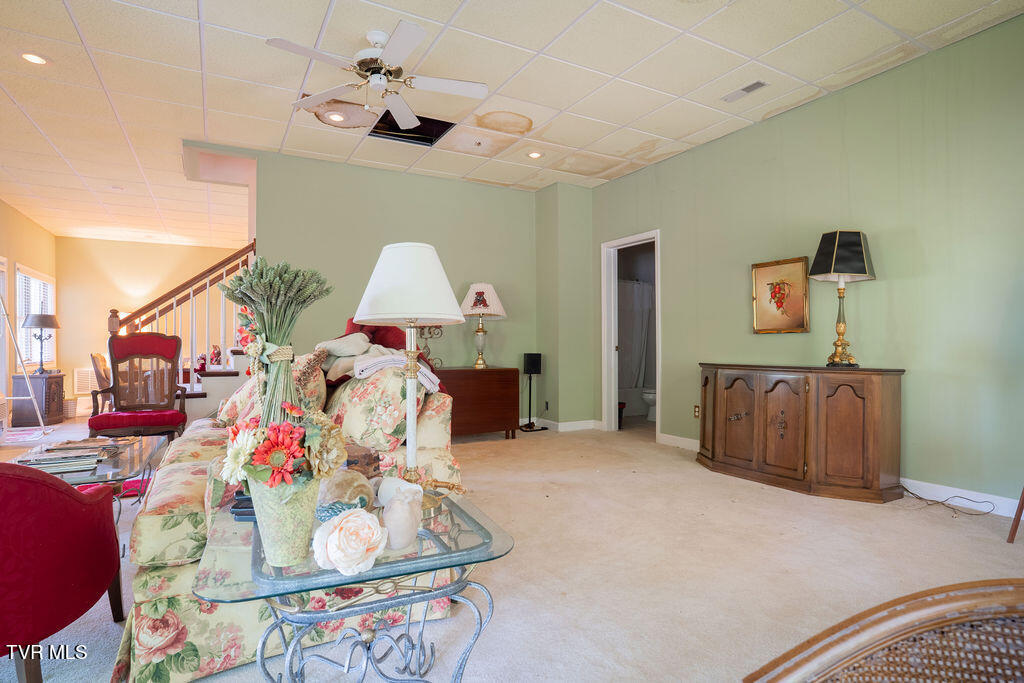204 Shadowood Drive, Johnson City, Tennessee image 38
