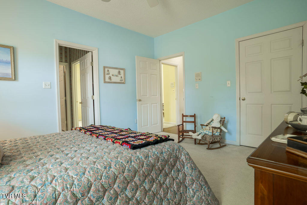 204 Shadowood Drive, Johnson City, Tennessee image 30