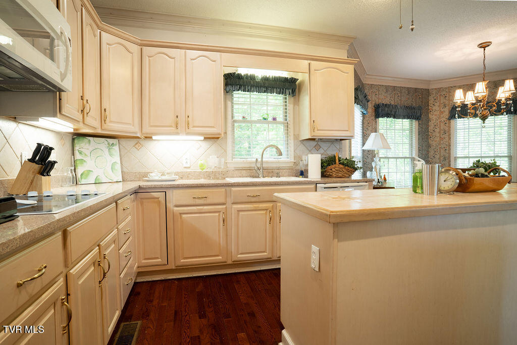 204 Shadowood Drive, Johnson City, Tennessee image 18
