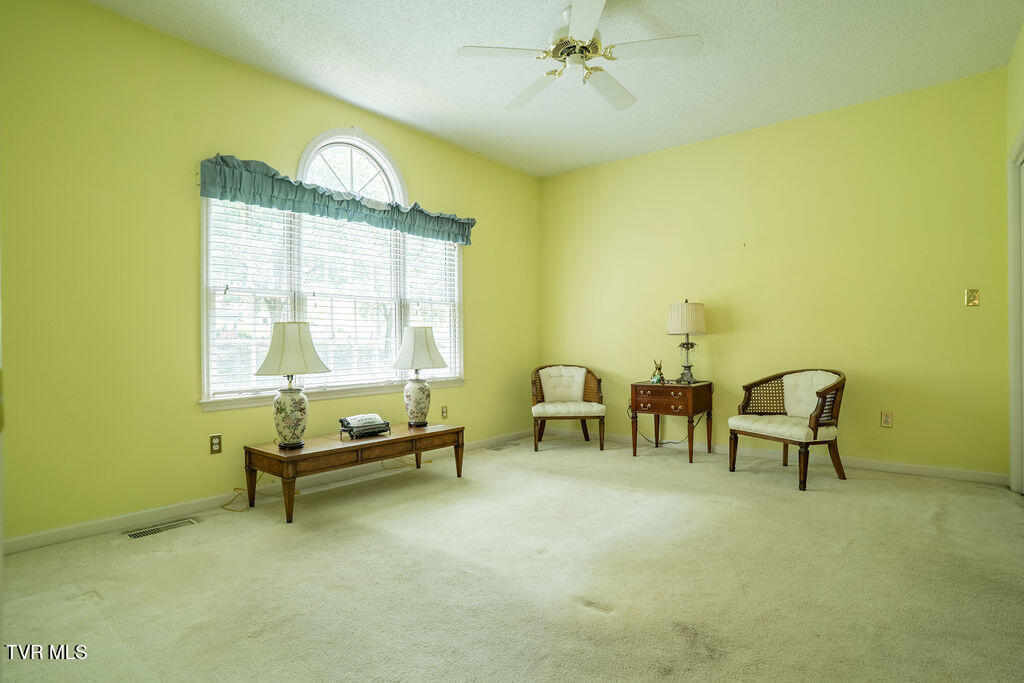 204 Shadowood Drive, Johnson City, Tennessee image 34
