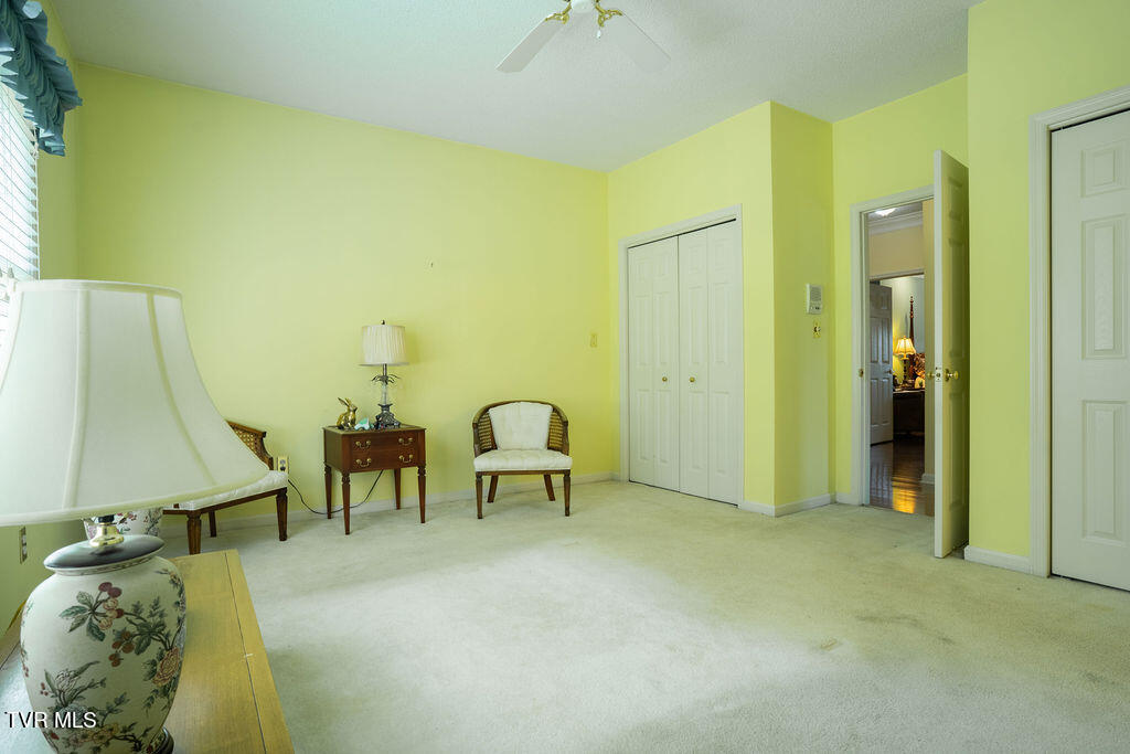 204 Shadowood Drive, Johnson City, Tennessee image 35