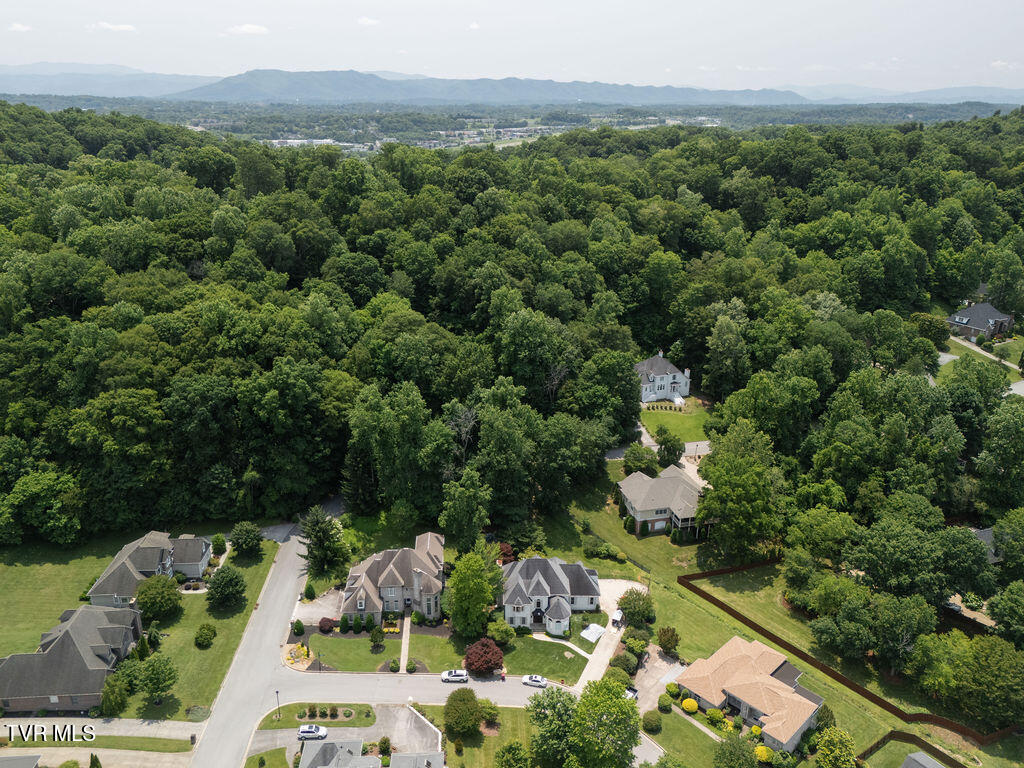 204 Shadowood Drive, Johnson City, Tennessee image 6