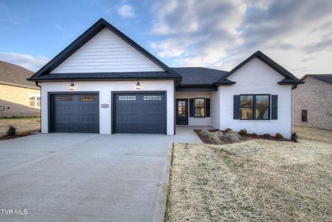 261 Ruby Rose Ridge Jonesborough TN 37659