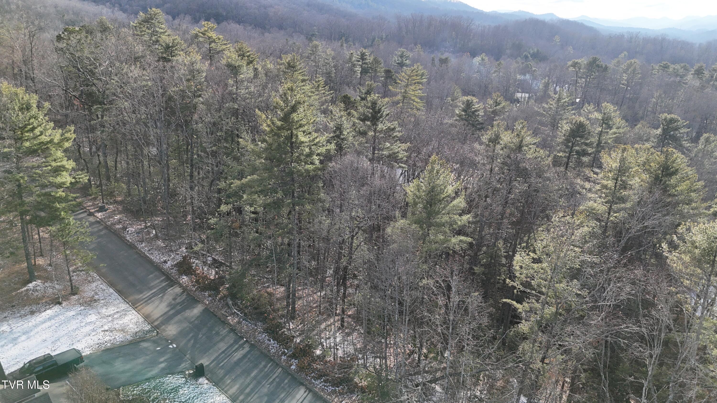 Tr 8 Mountain Laurel Court, Unicoi, Tennessee image 26