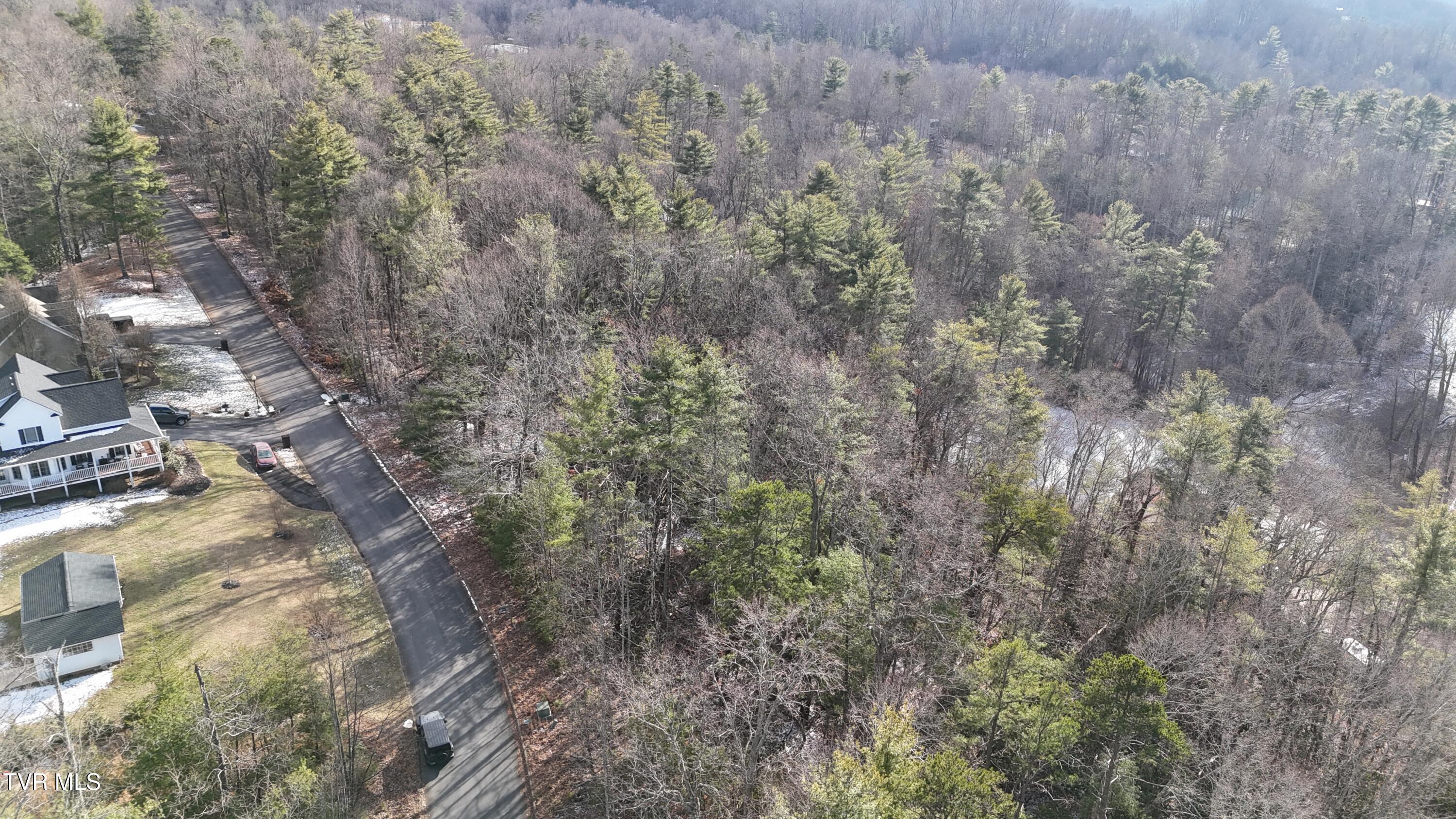 Tr 8 Mountain Laurel Court, Unicoi, Tennessee image 5
