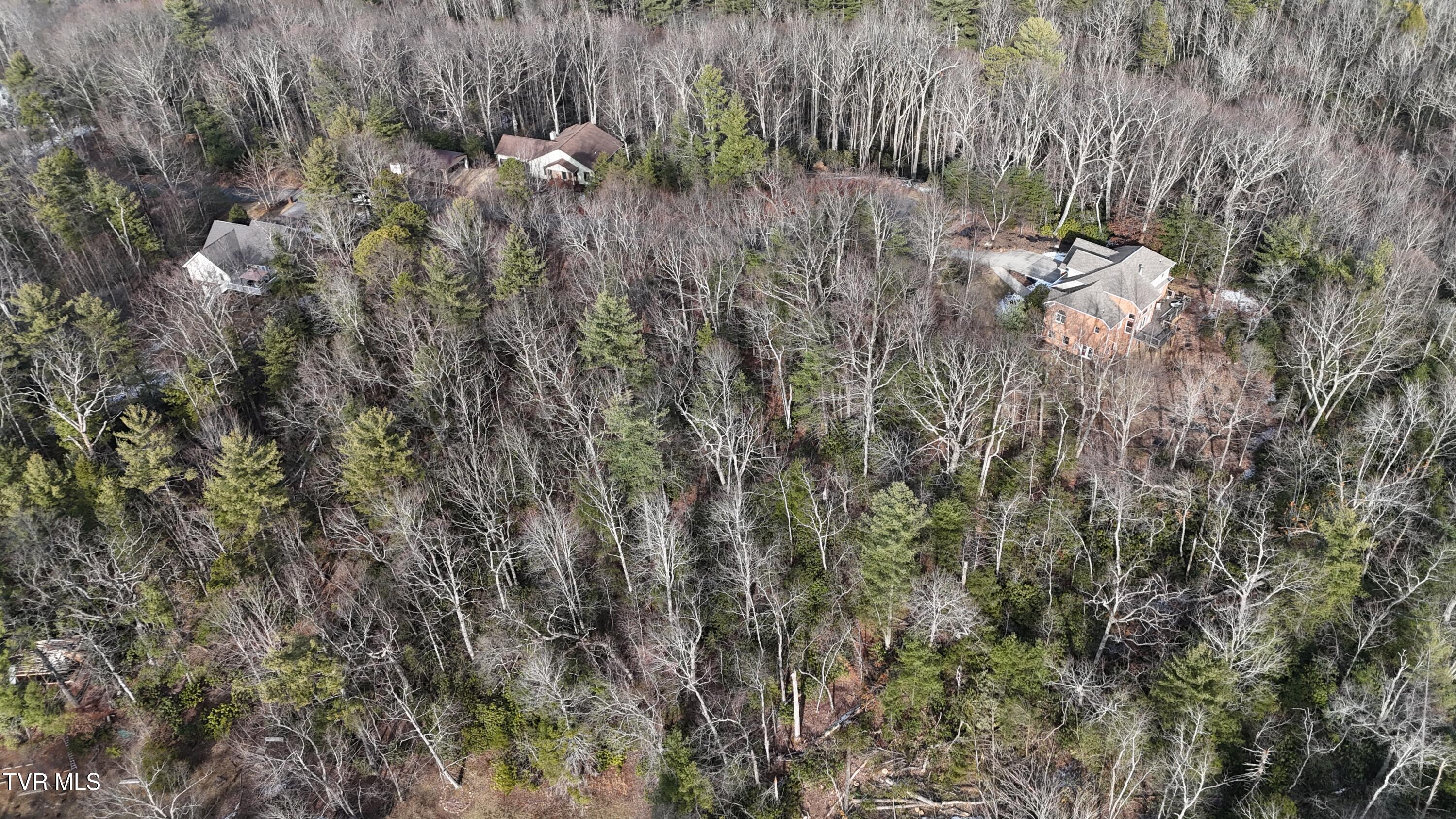Tr 8 Mountain Laurel Court, Unicoi, Tennessee image 31