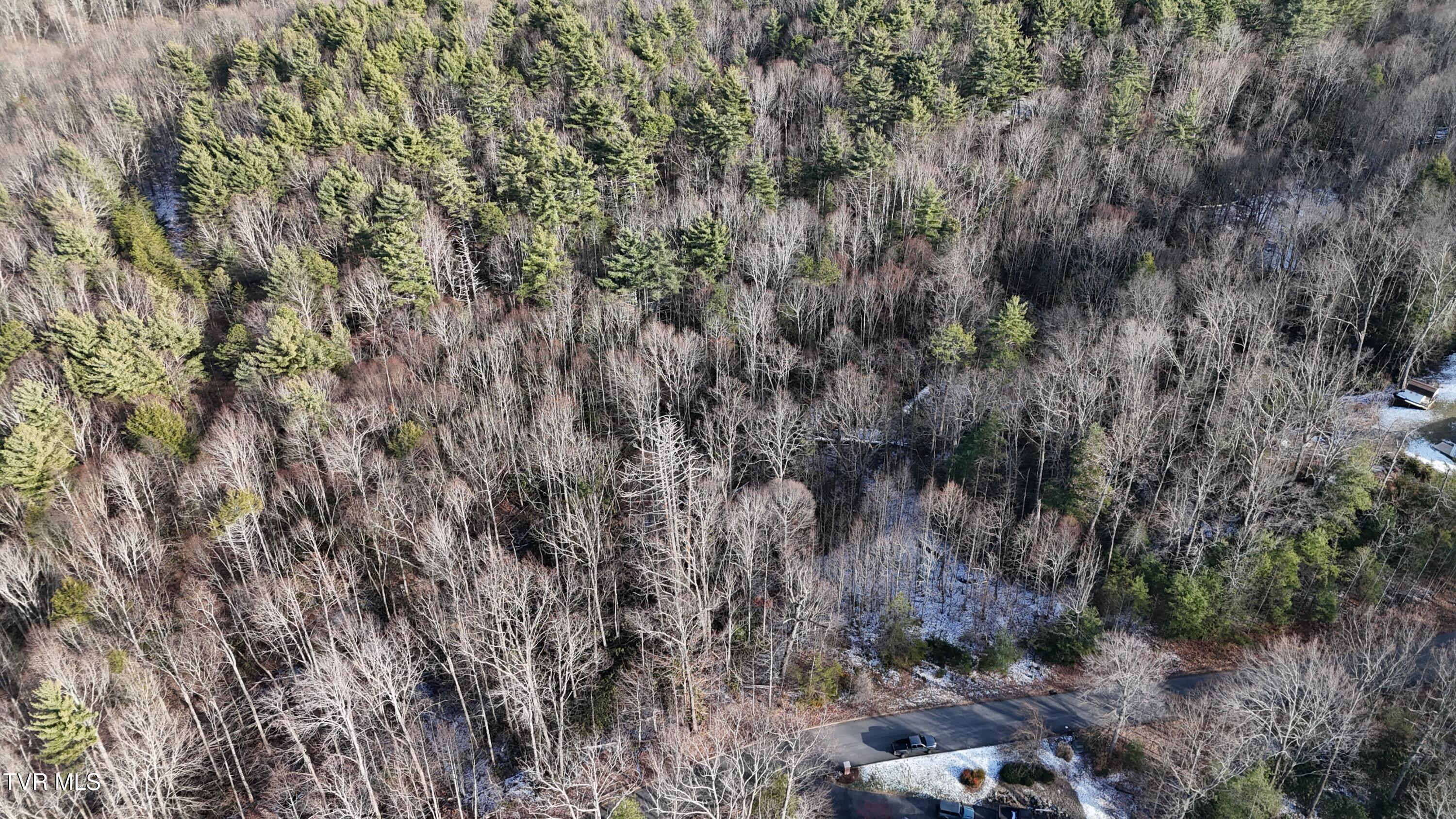 Tr 8 Mountain Laurel Court, Unicoi, Tennessee image 20