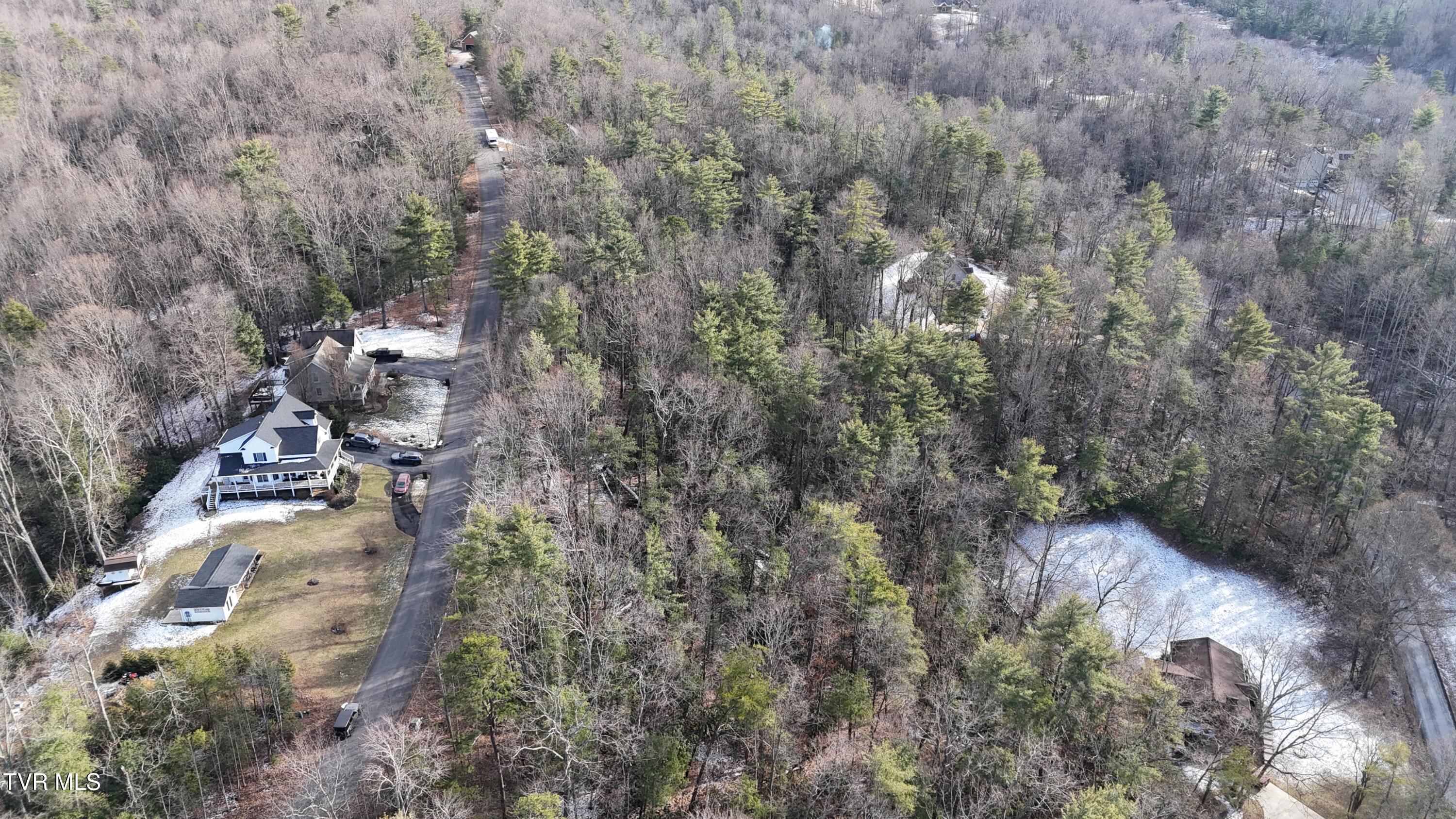 Tr 8 Mountain Laurel Court, Unicoi, Tennessee image 9