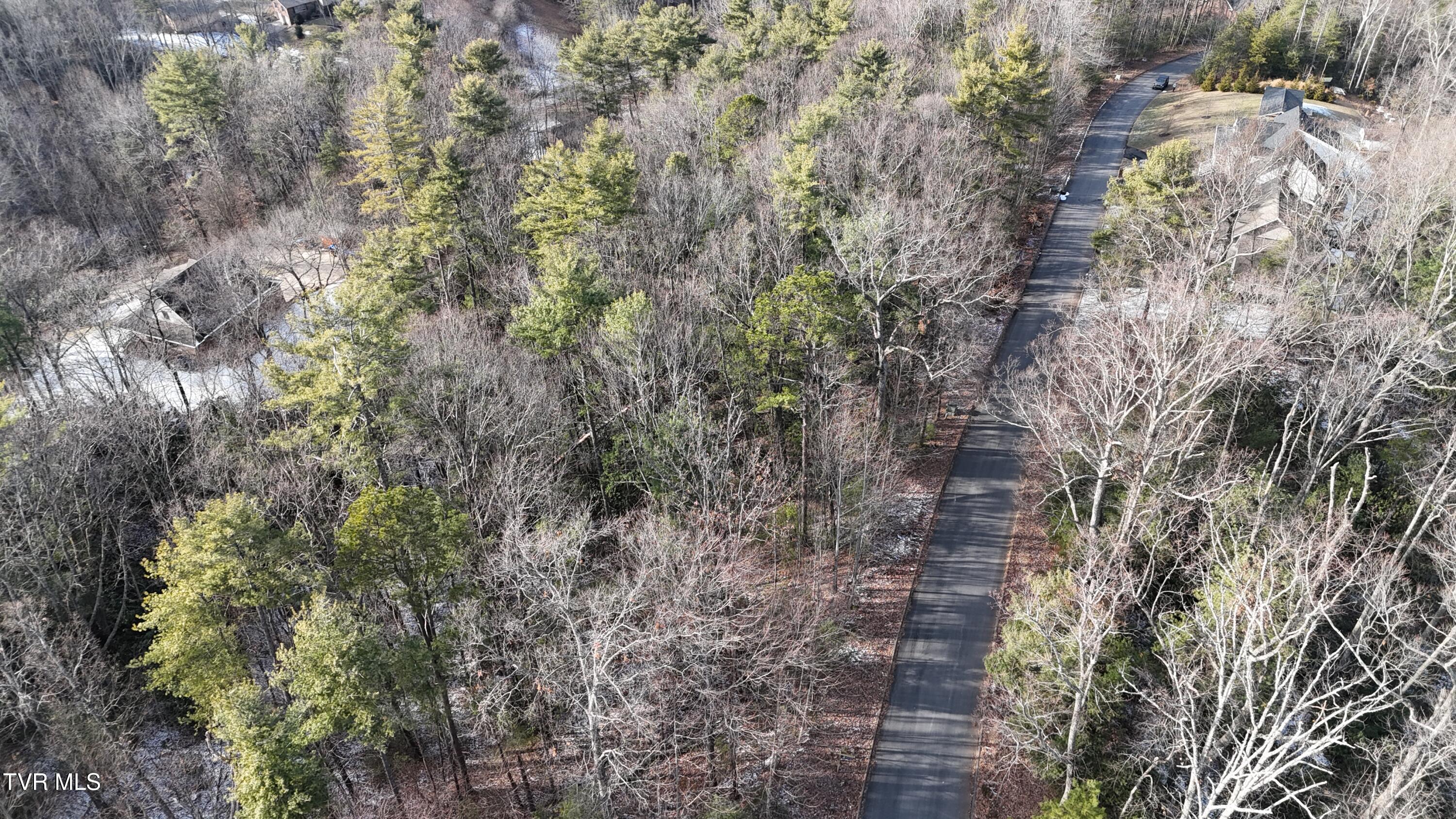 Tr 8 Mountain Laurel Court, Unicoi, Tennessee image 27