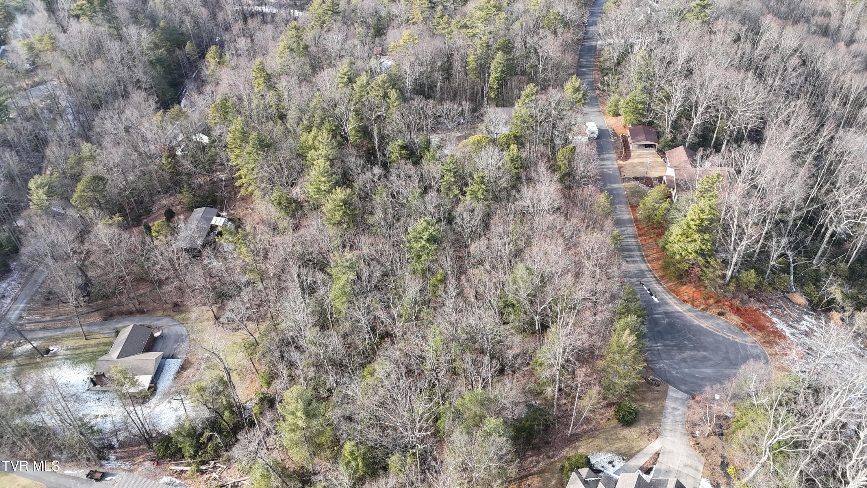 Tr 8 Mountain Laurel Court, Unicoi, Tennessee image 32