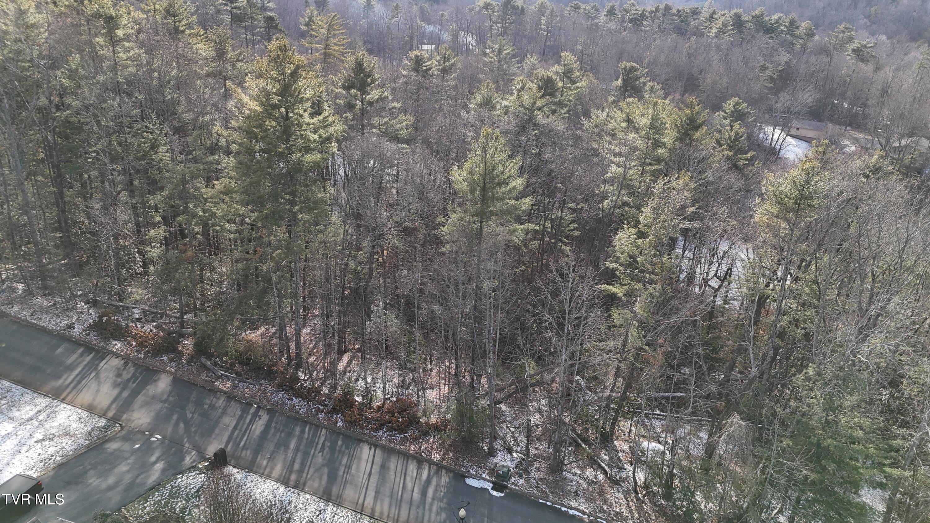 Tr 8 Mountain Laurel Court, Unicoi, Tennessee image 24