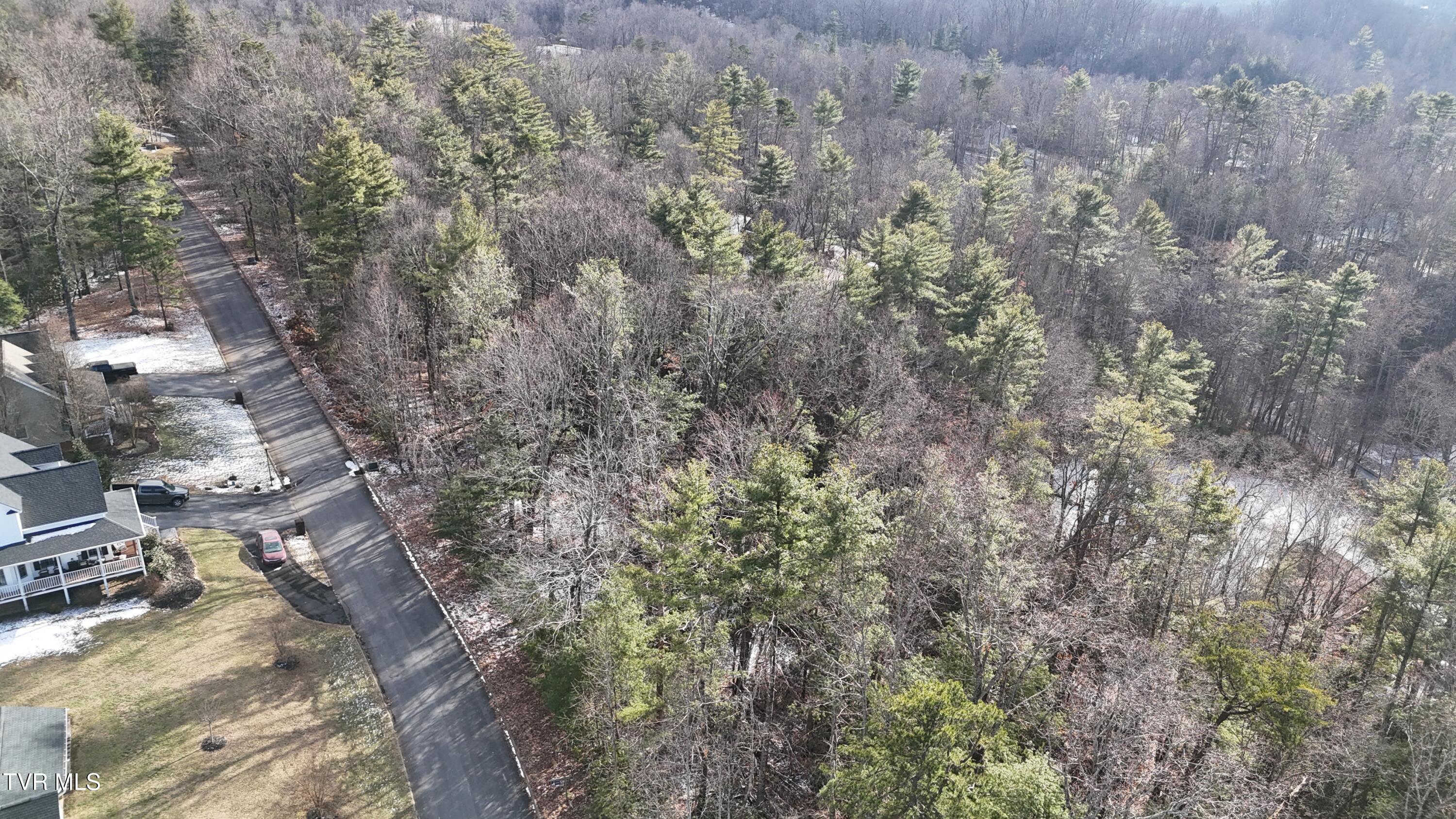 Tr 8 Mountain Laurel Court, Unicoi, Tennessee image 4