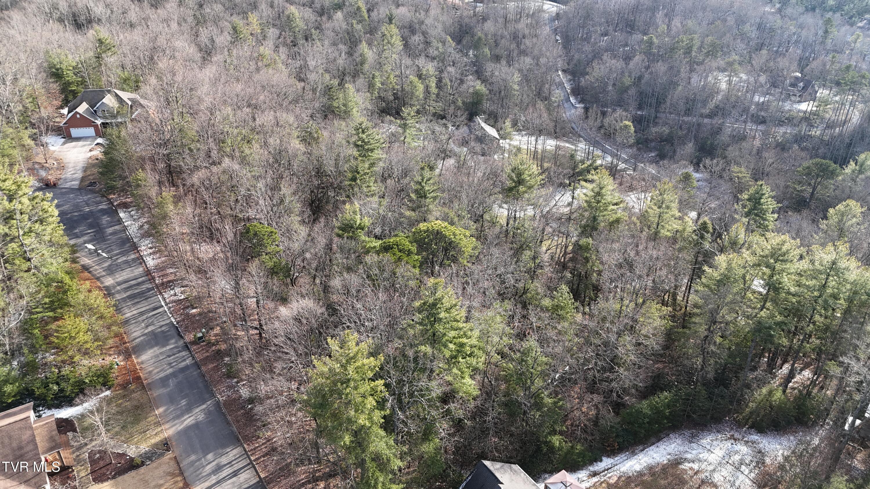 Tr 8 Mountain Laurel Court, Unicoi, Tennessee image 29