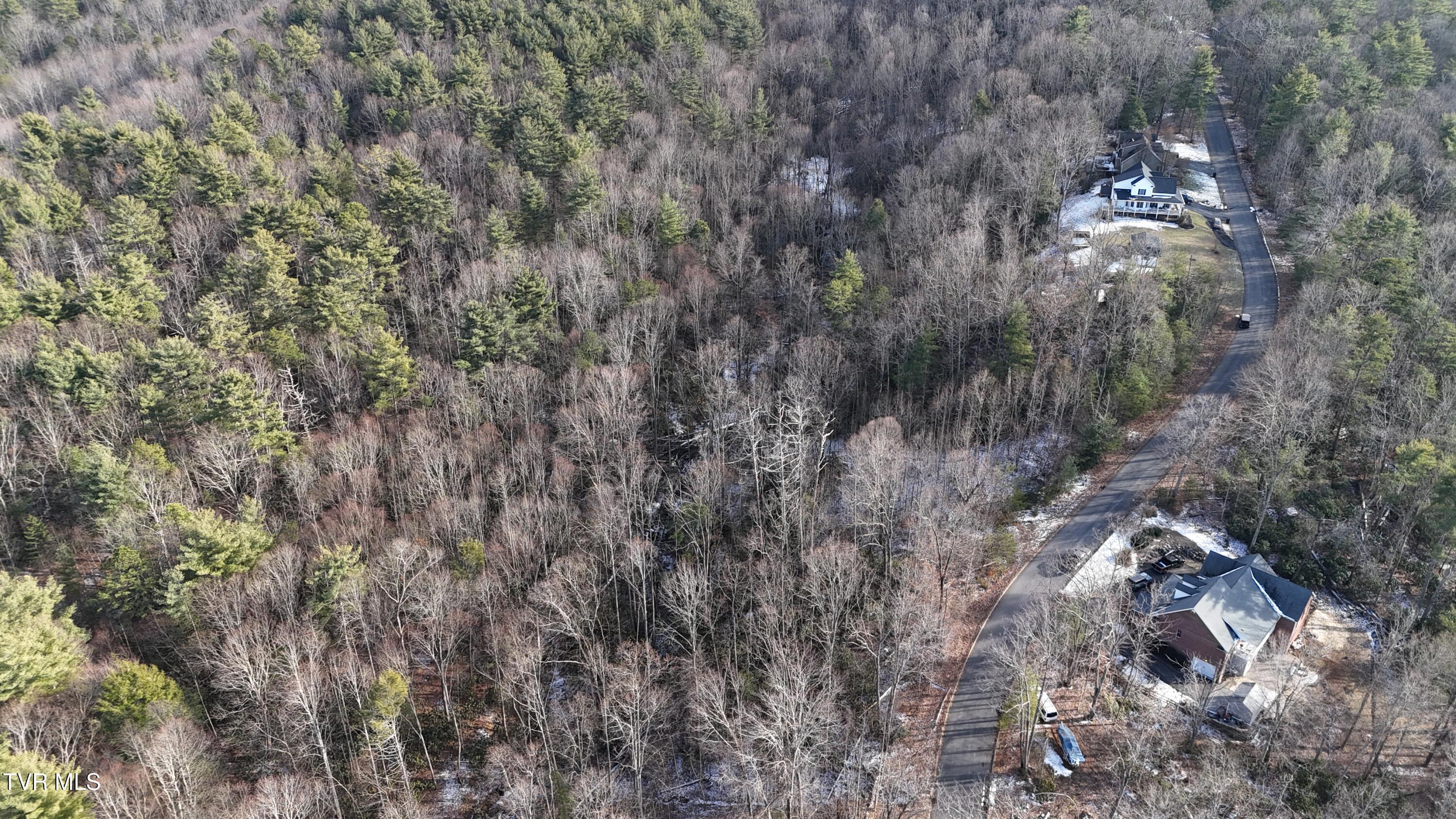 Tr 8 Mountain Laurel Court, Unicoi, Tennessee image 19