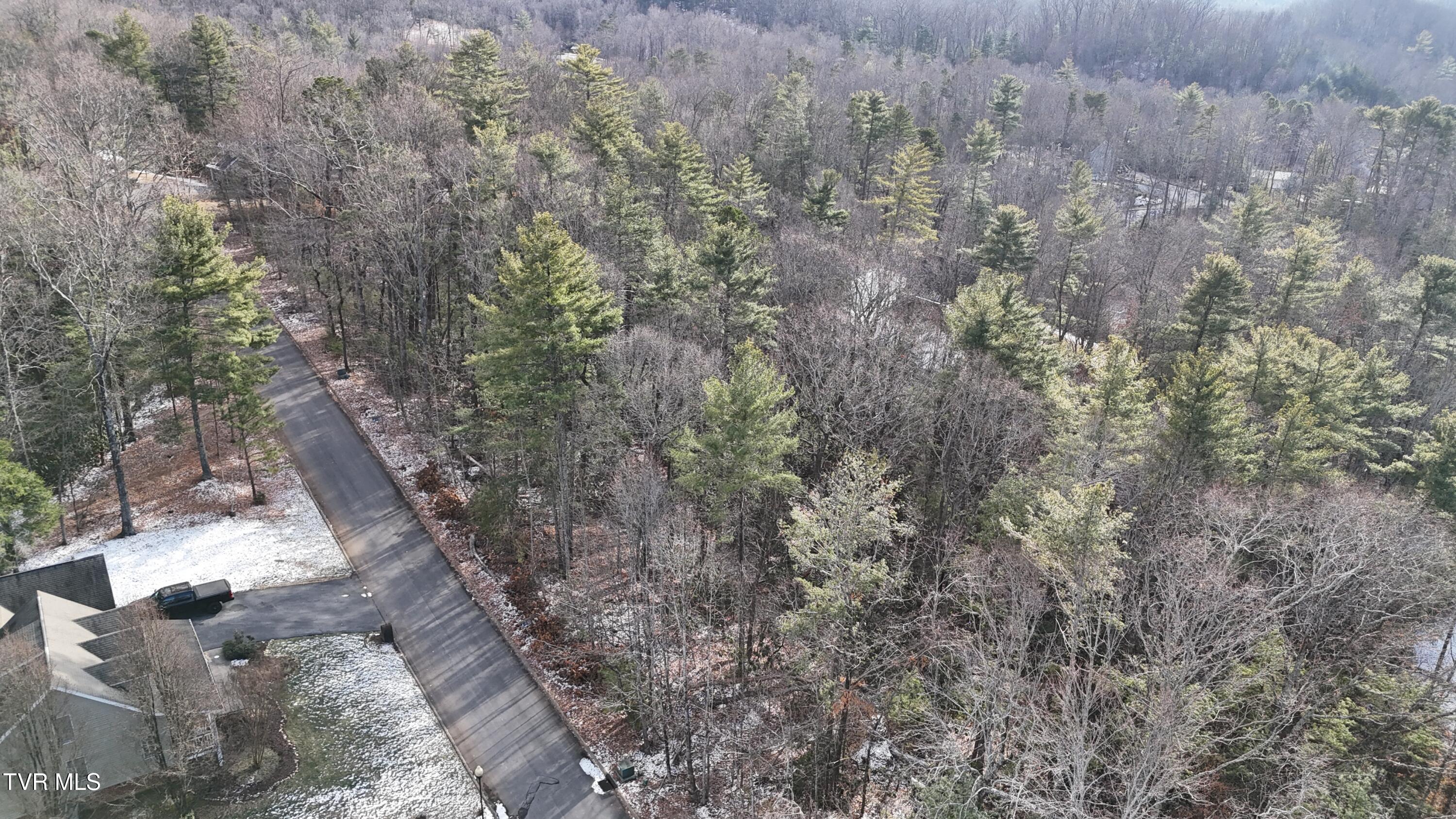 Tr 8 Mountain Laurel Court, Unicoi, Tennessee image 3