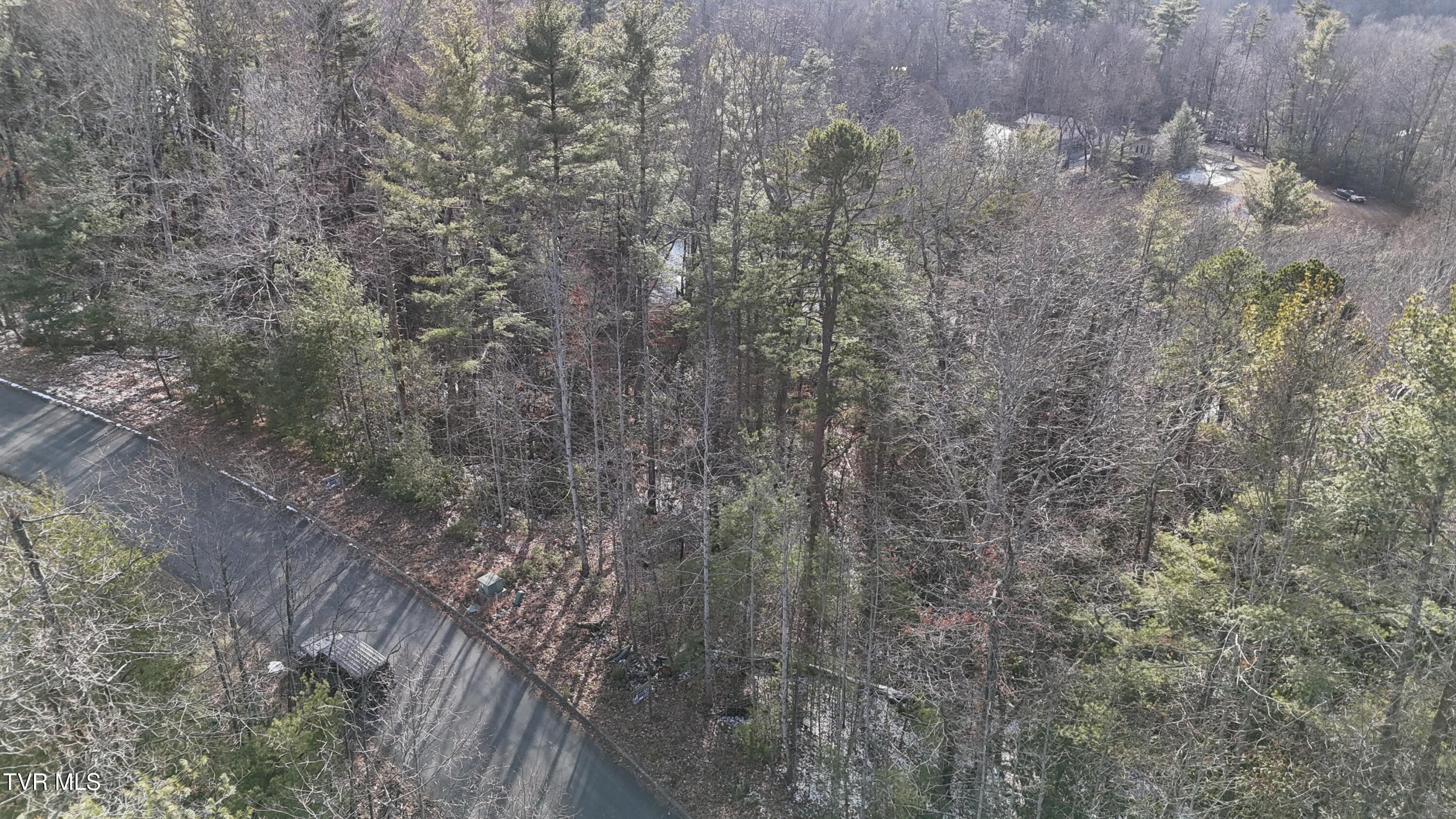 Tr 8 Mountain Laurel Court, Unicoi, Tennessee image 22