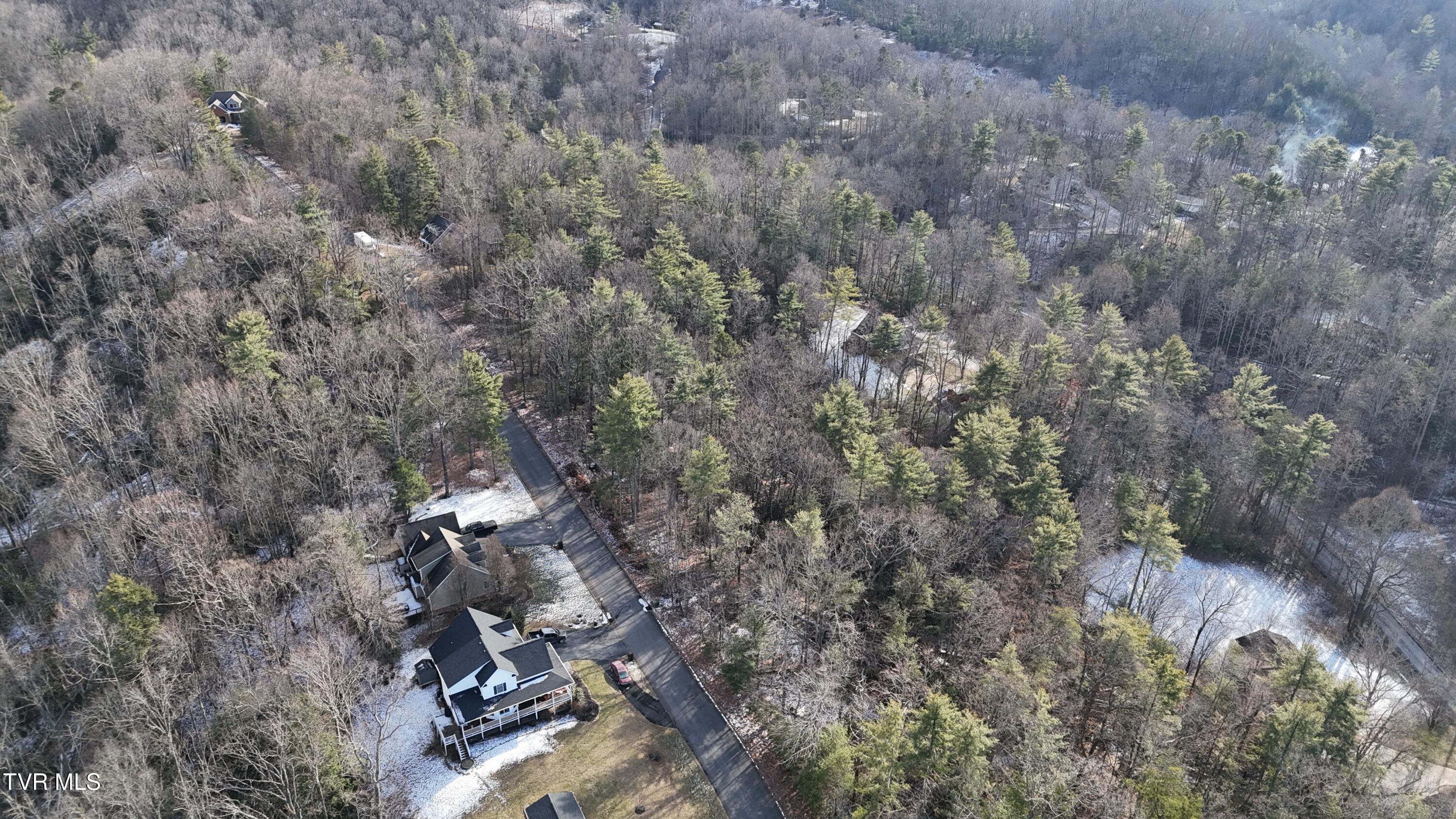Tr 8 Mountain Laurel Court, Unicoi, Tennessee image 17