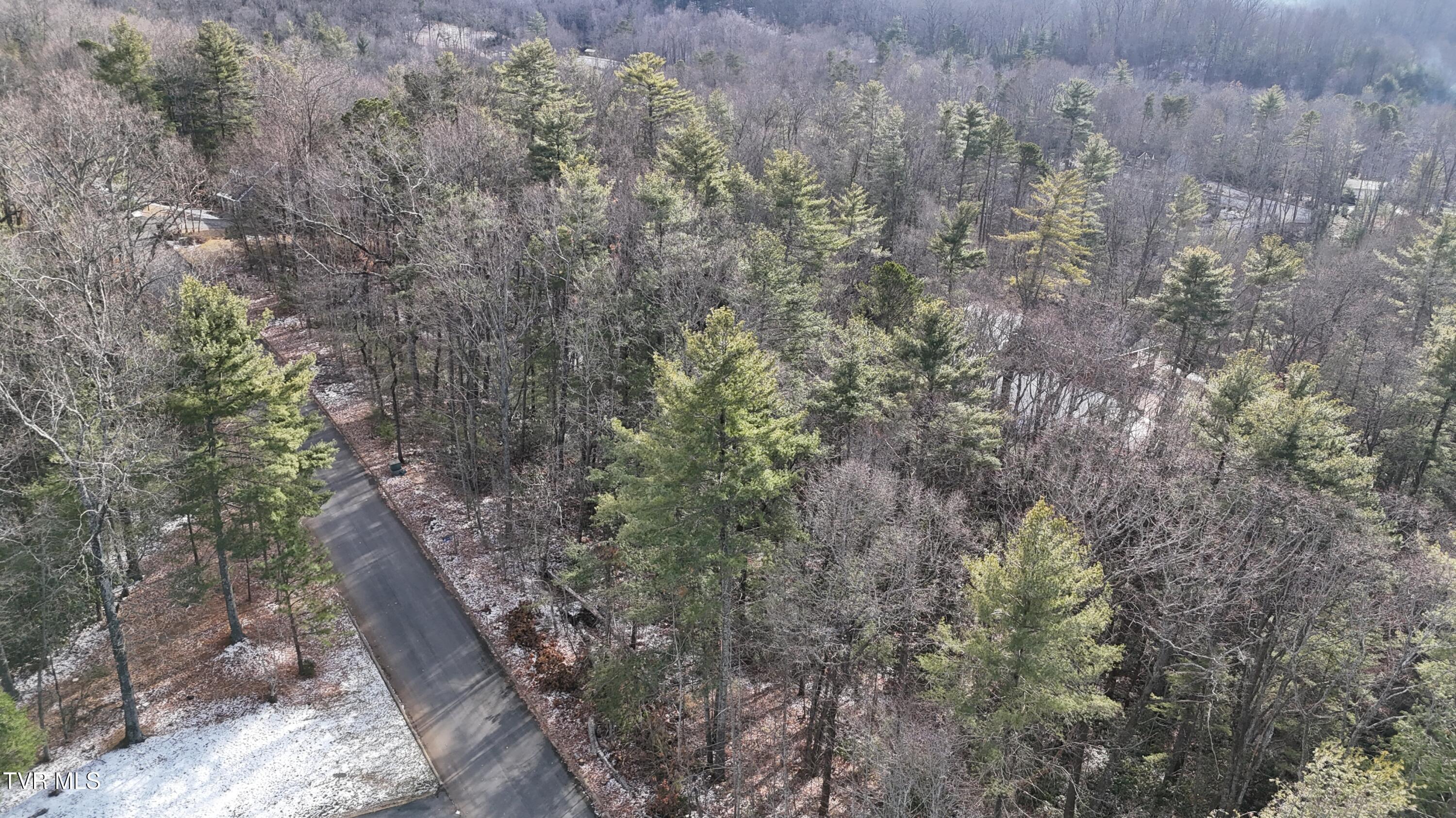 Tr 8 Mountain Laurel Court, Unicoi, Tennessee image 2