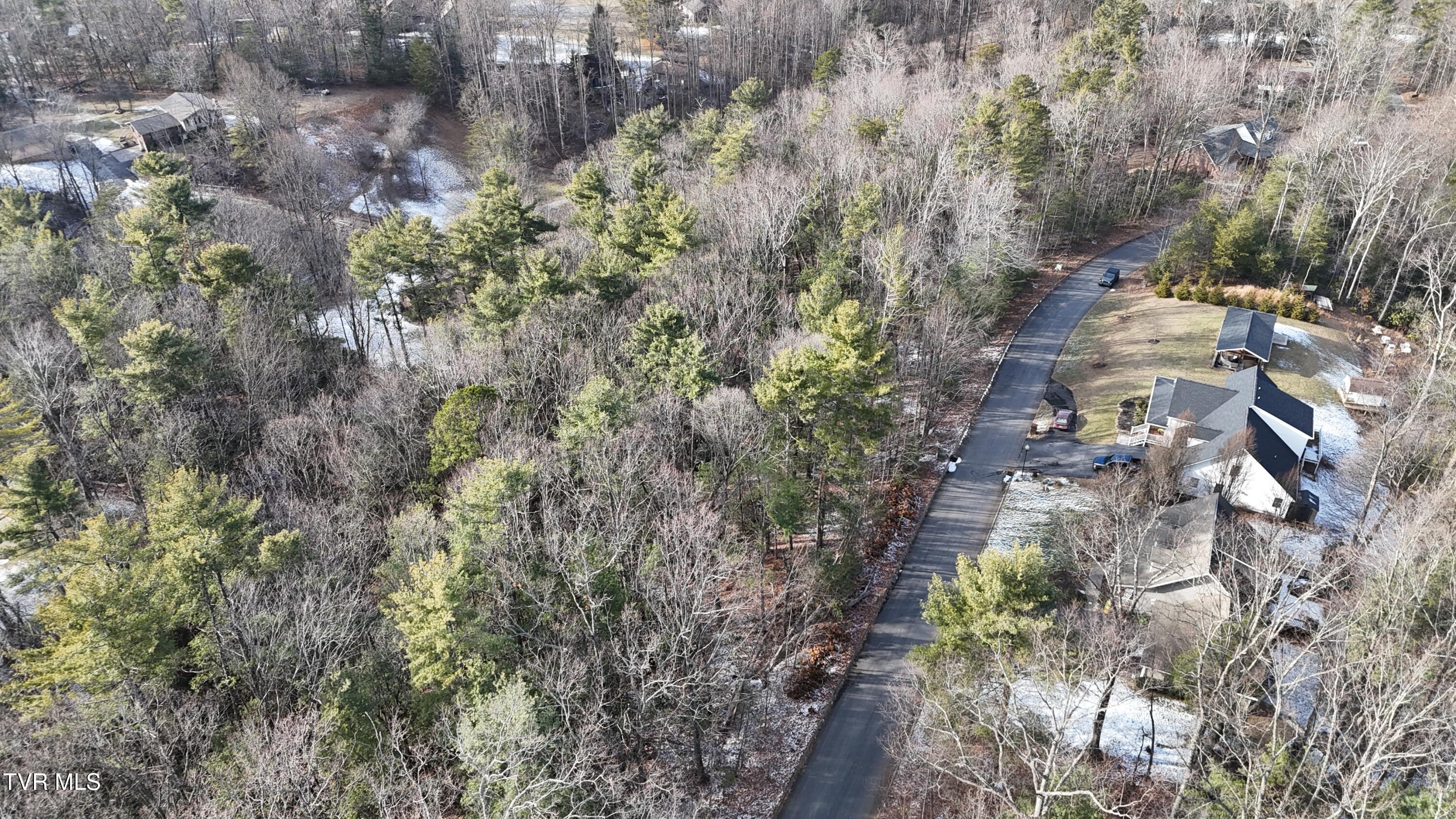 Tr 8 Mountain Laurel Court, Unicoi, Tennessee image 28