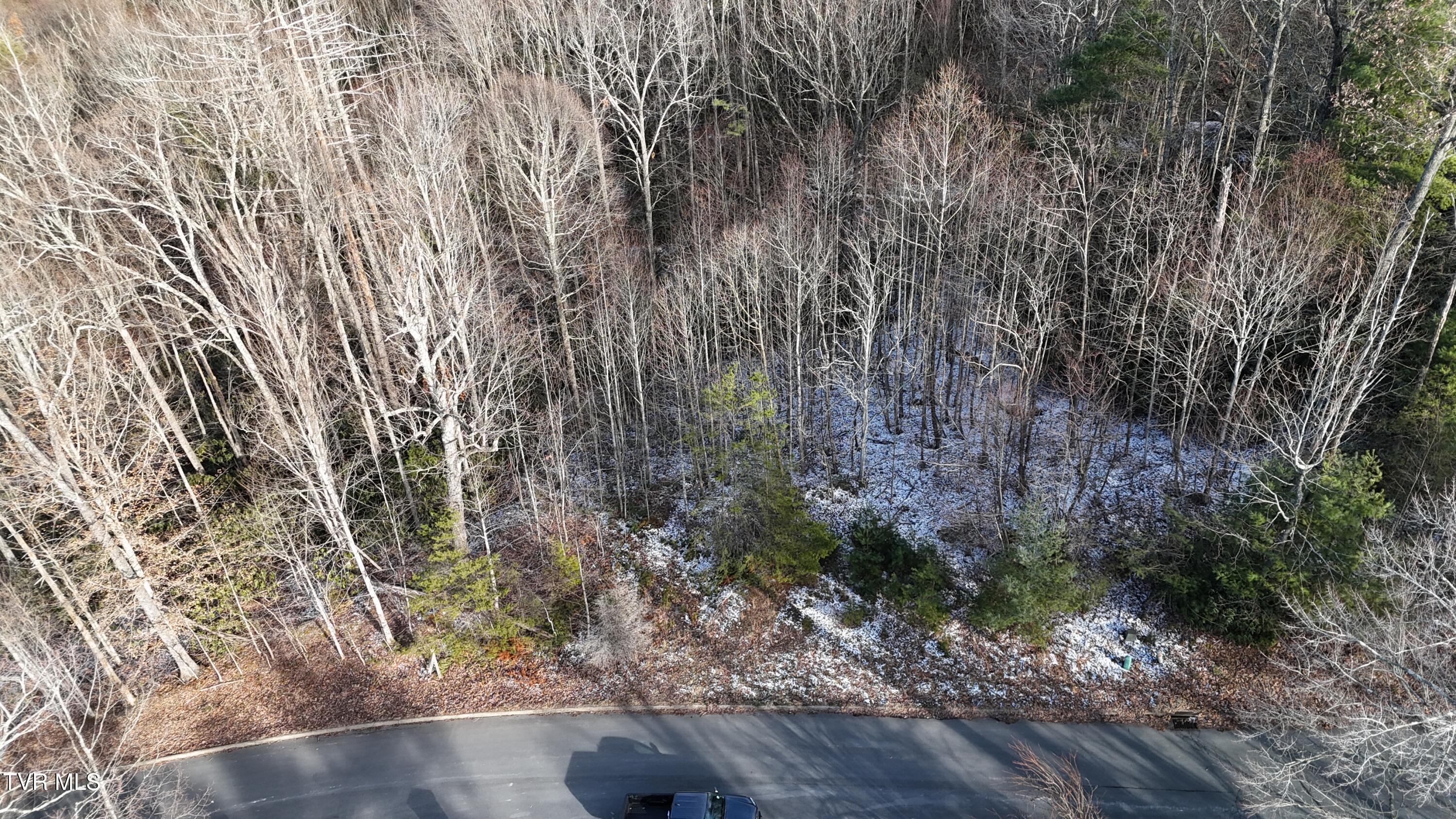 Tr 8 Mountain Laurel Court, Unicoi, Tennessee image 21