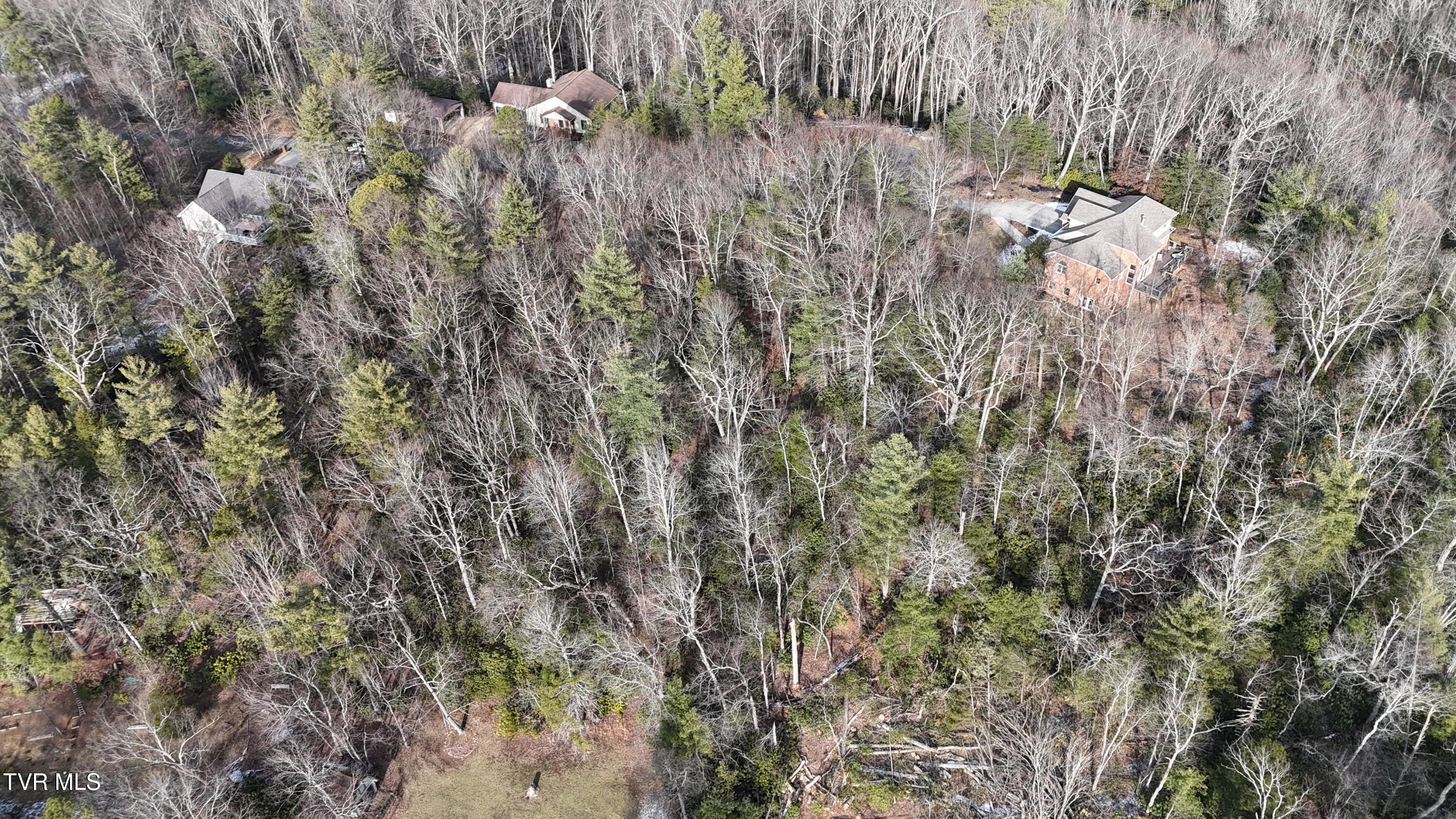 Tr 8 Mountain Laurel Court, Unicoi, Tennessee image 30