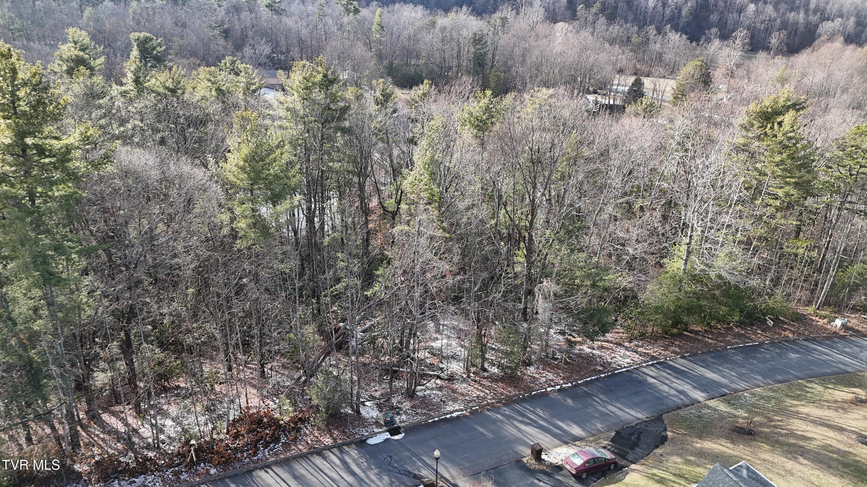 Tr 8 Mountain Laurel Court, Unicoi, Tennessee image 23
