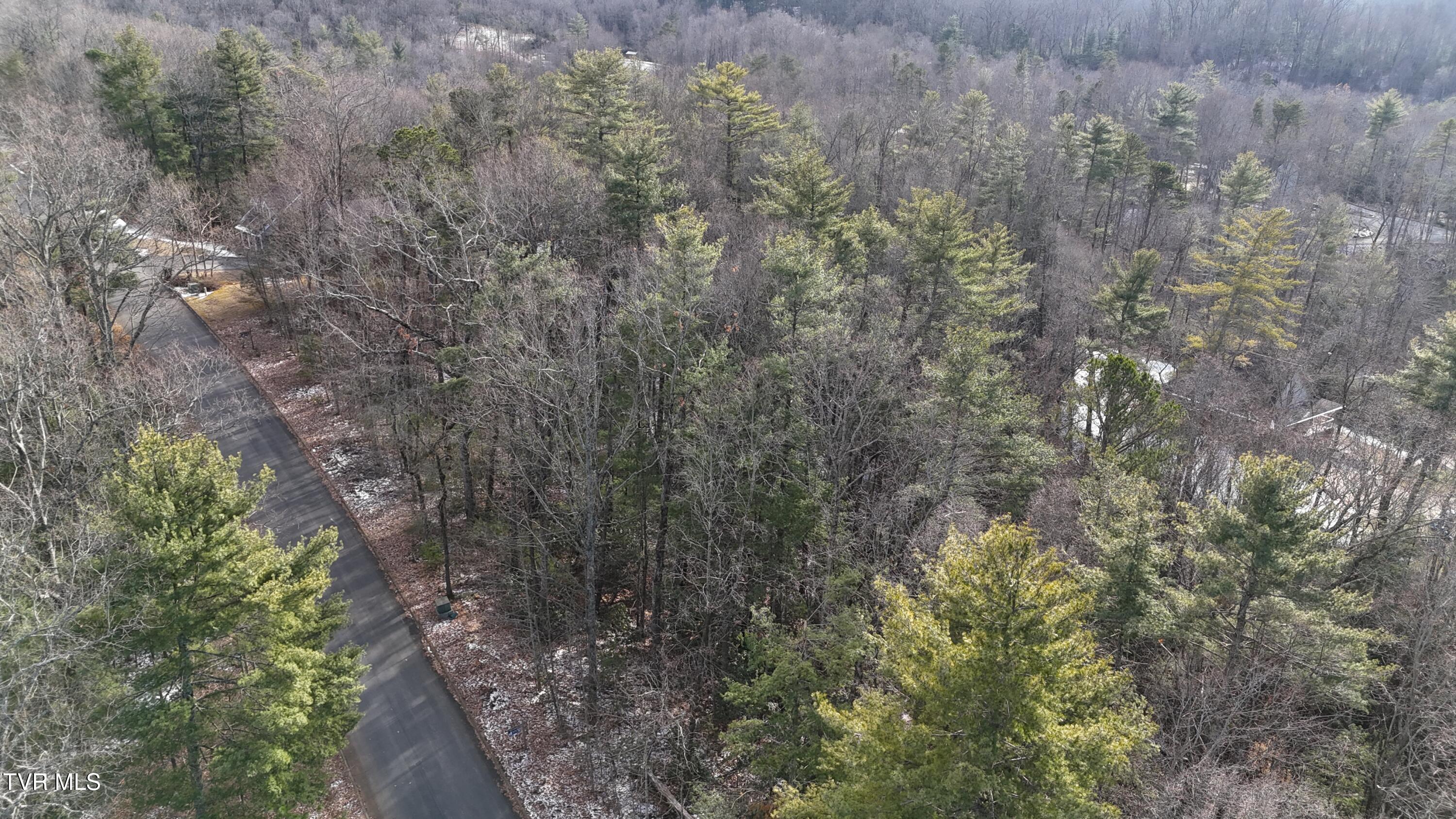 Tr 8 Mountain Laurel Court, Unicoi, Tennessee image 1