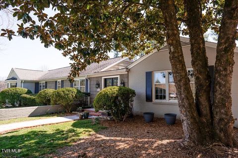 Photo of 100 Earlway Road, Bristol, TN 37620 (MLS # 9990968)