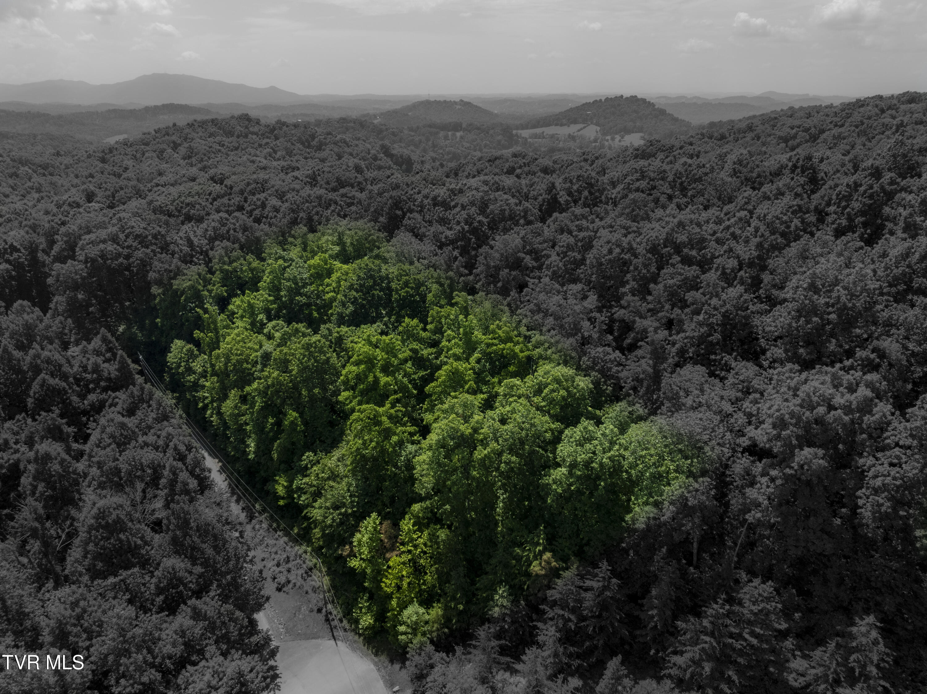 263 Rocky Branch Road, Elizabethton, Tennessee image 6