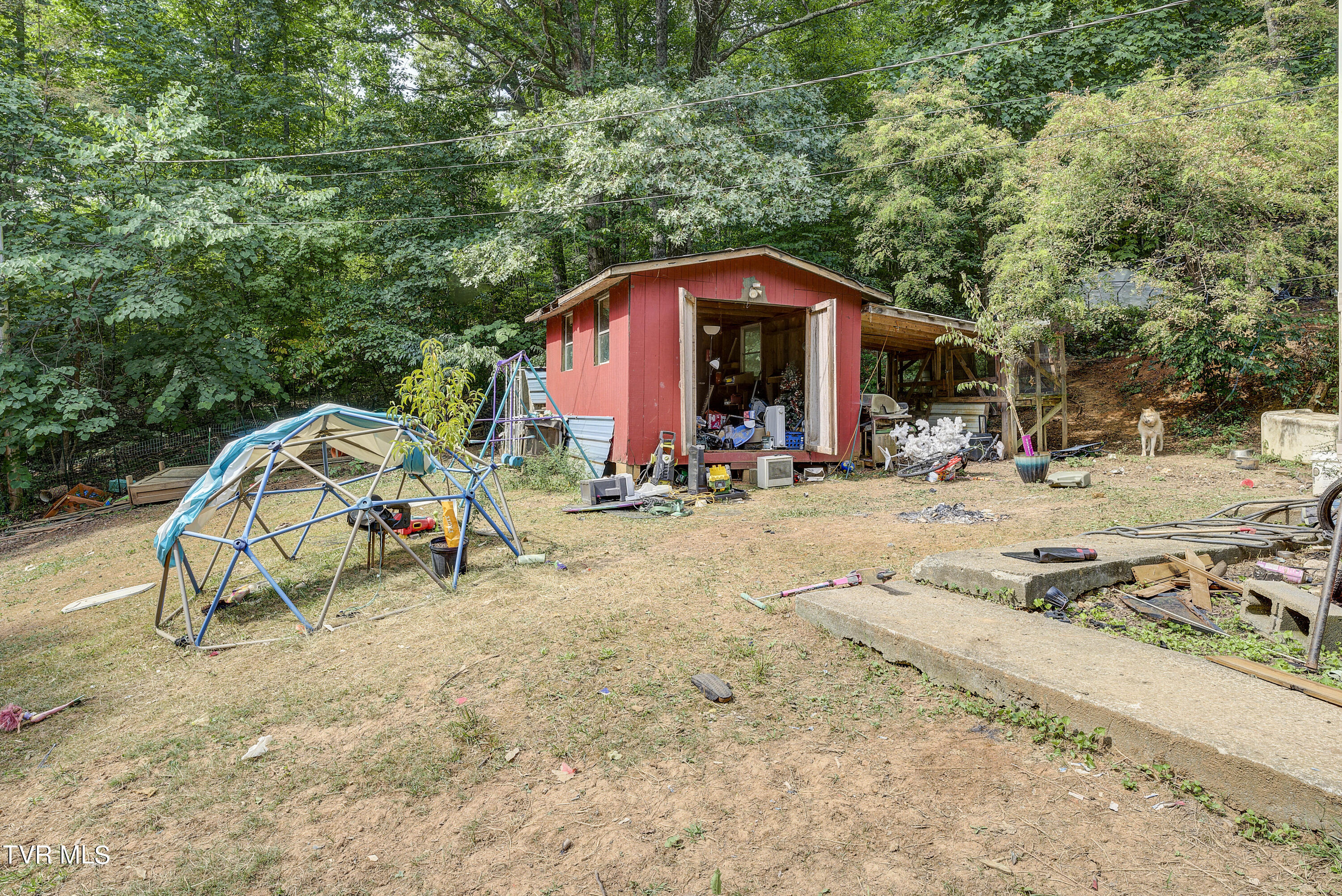 263 Rocky Branch Road, Elizabethton, Tennessee image 5