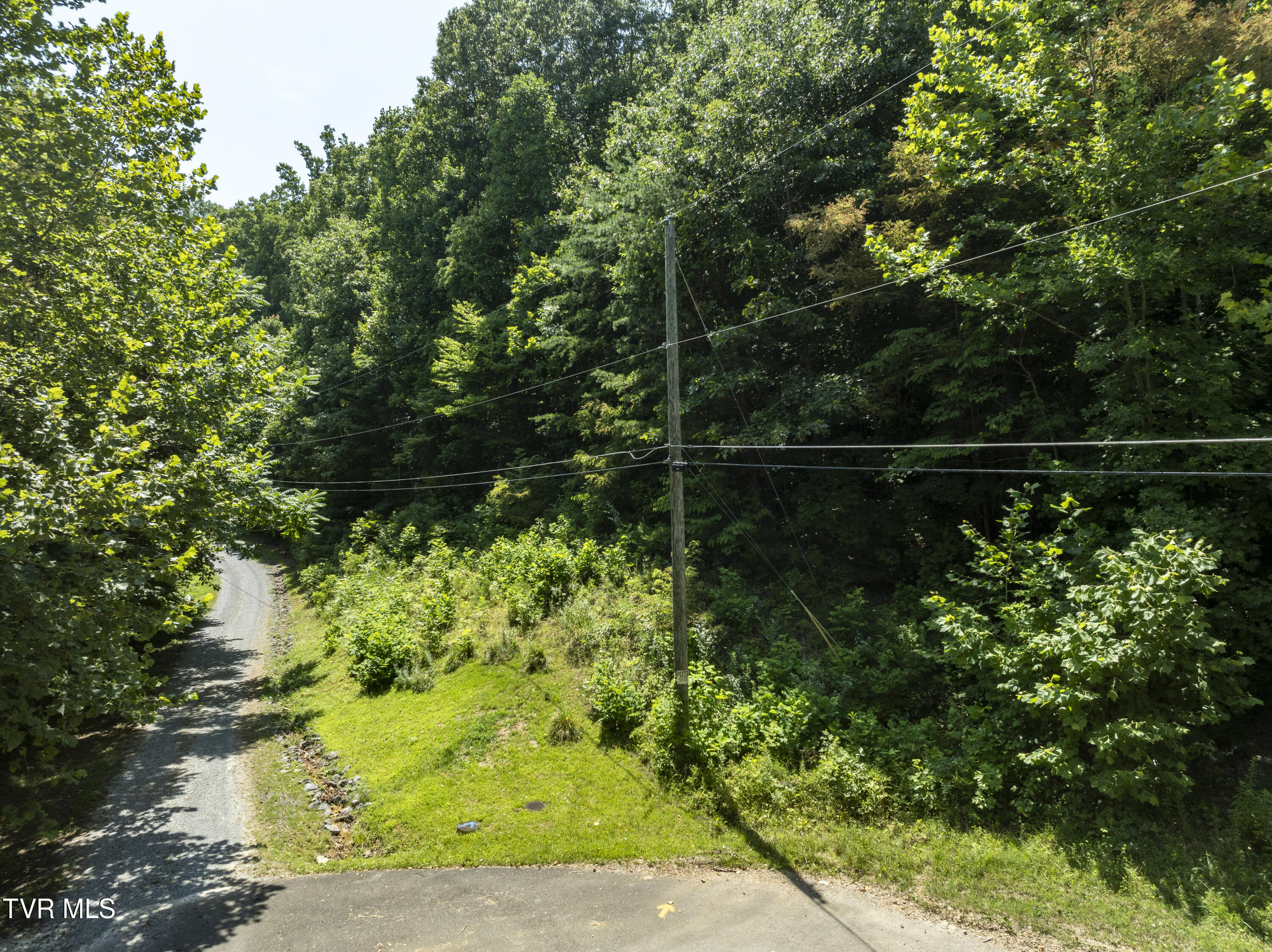263 Rocky Branch Road, Elizabethton, Tennessee image 1